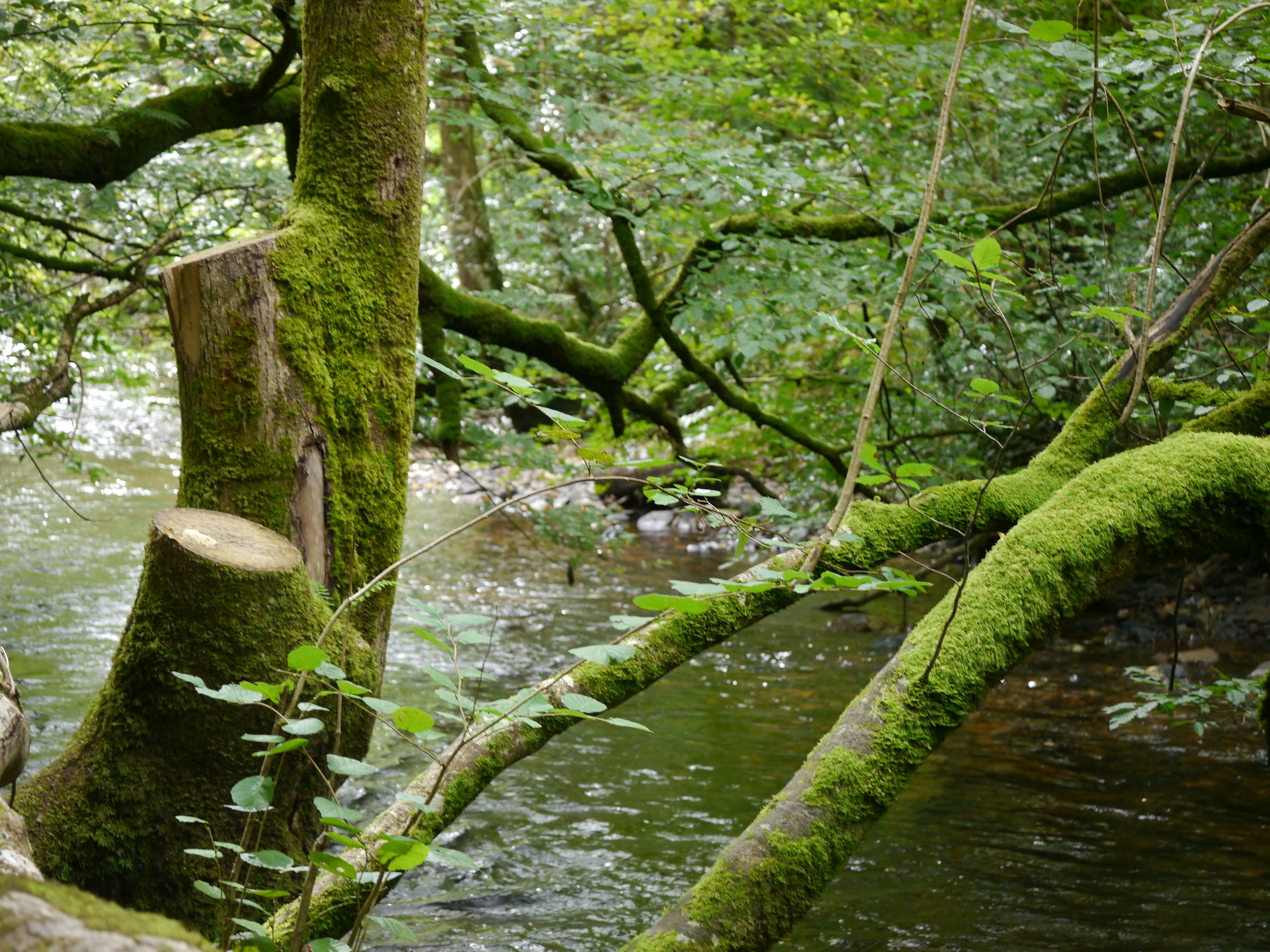 Photo by iqsphotography