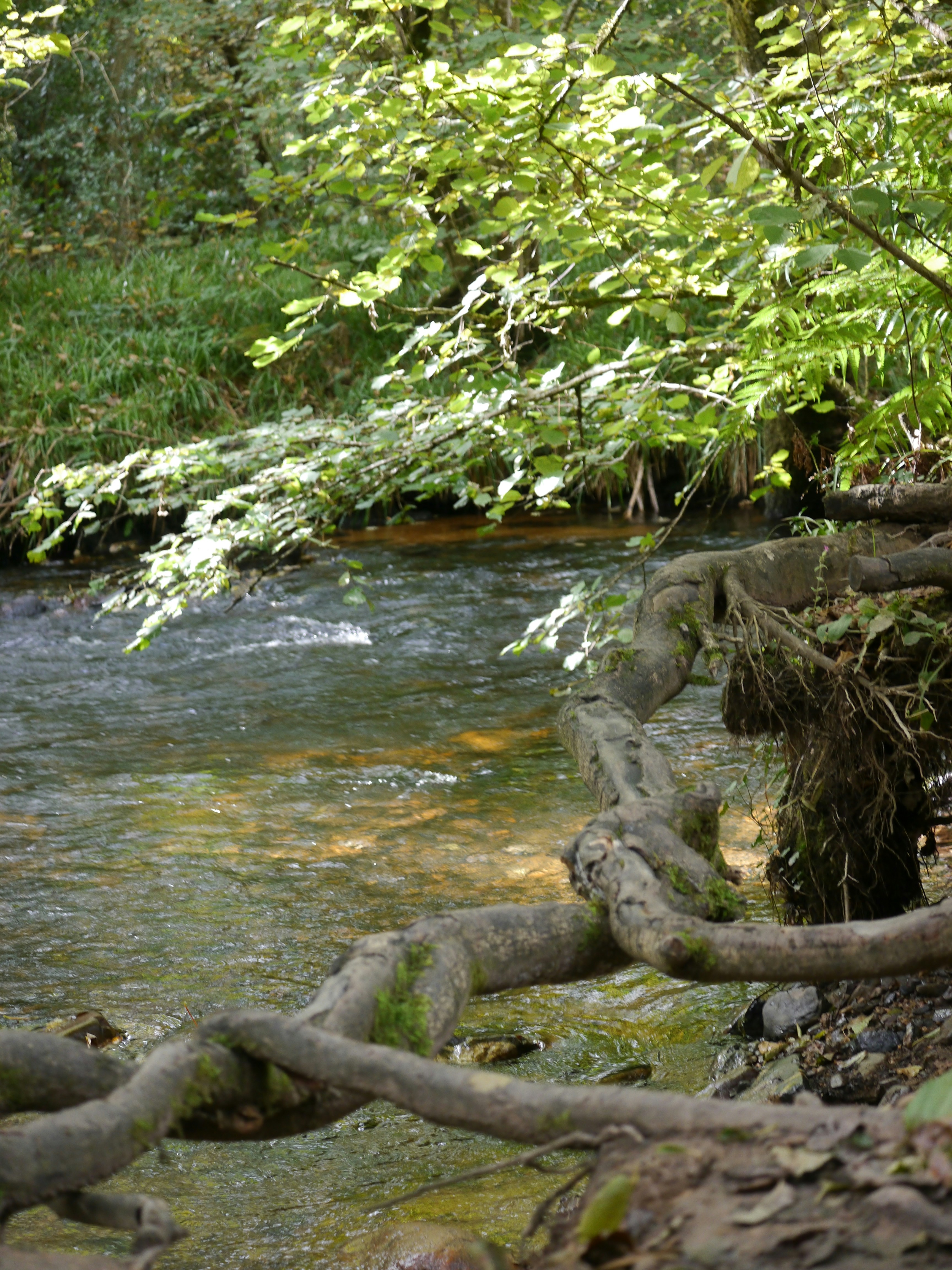 Photo by iqsphotography