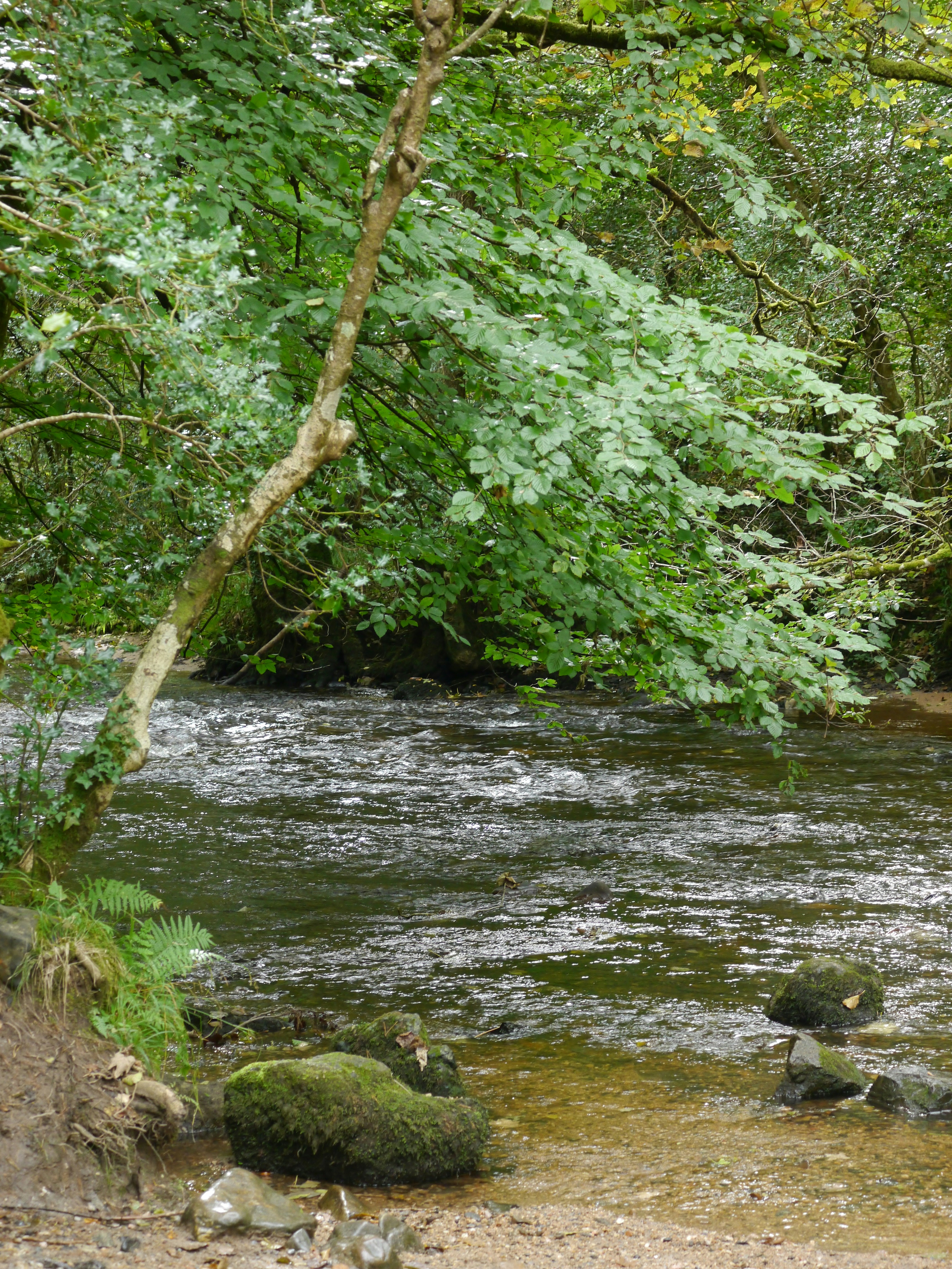 Photo by iqsphotography