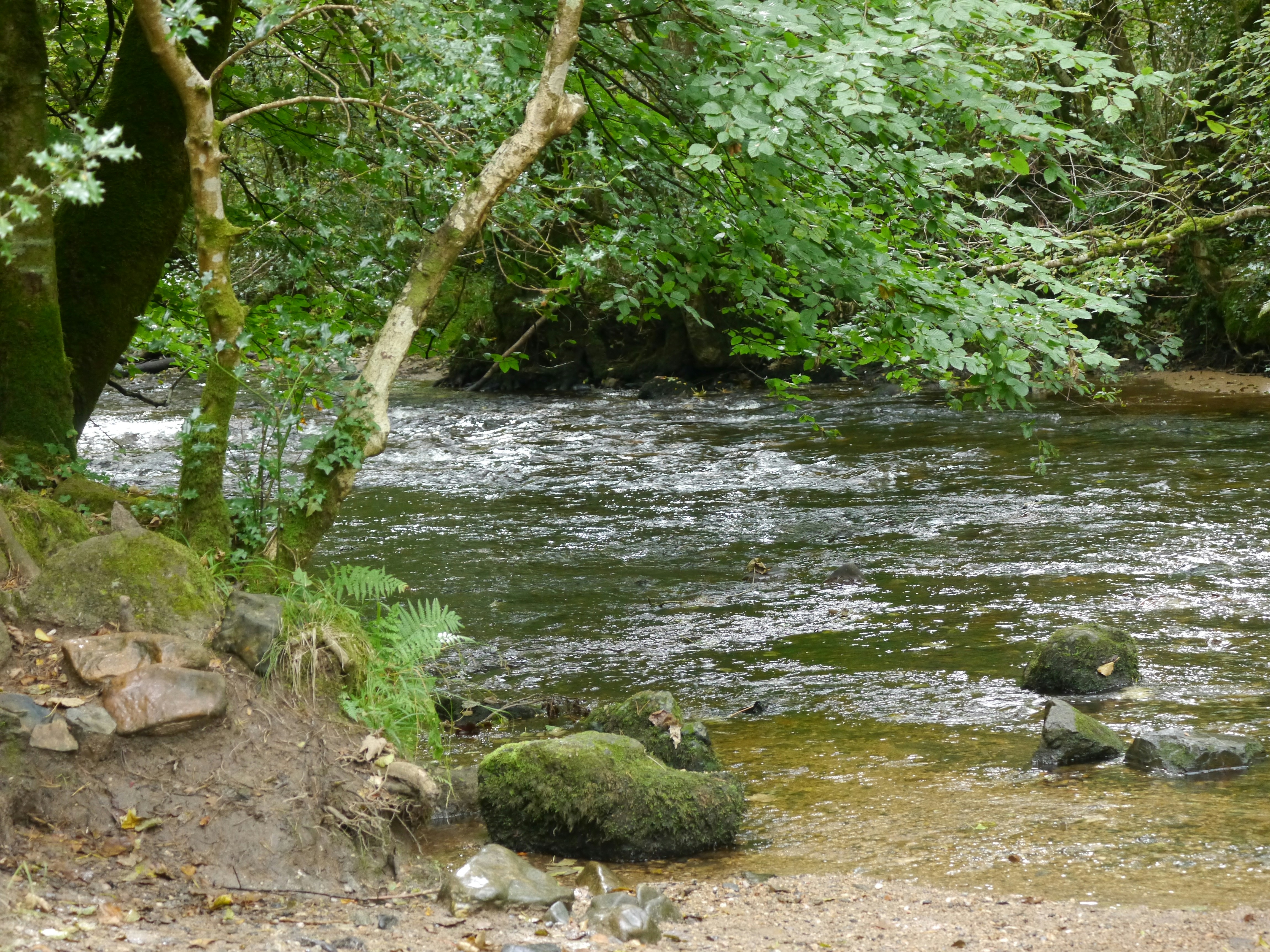 Photo by iqsphotography