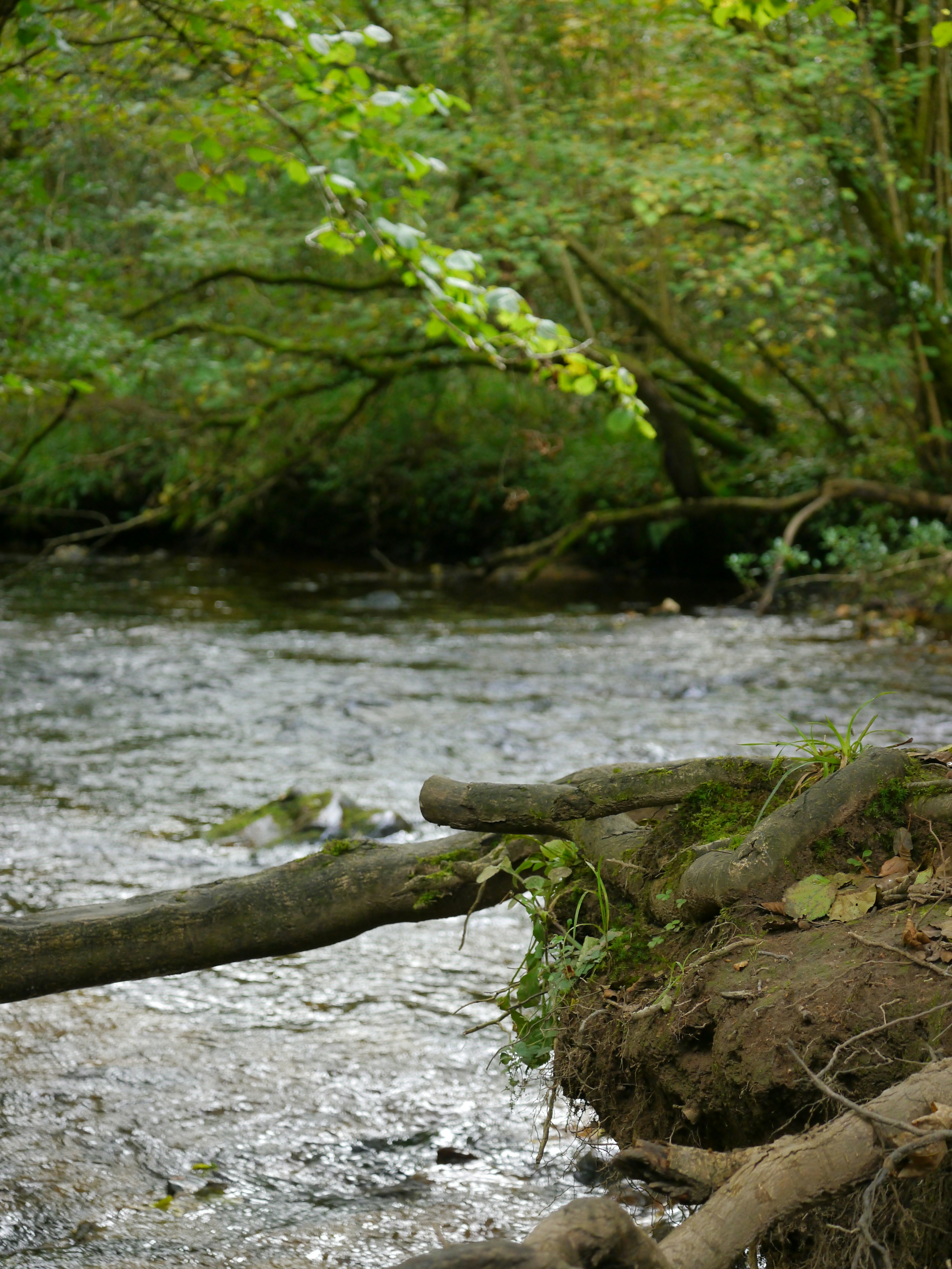 Photo by iqsphotography