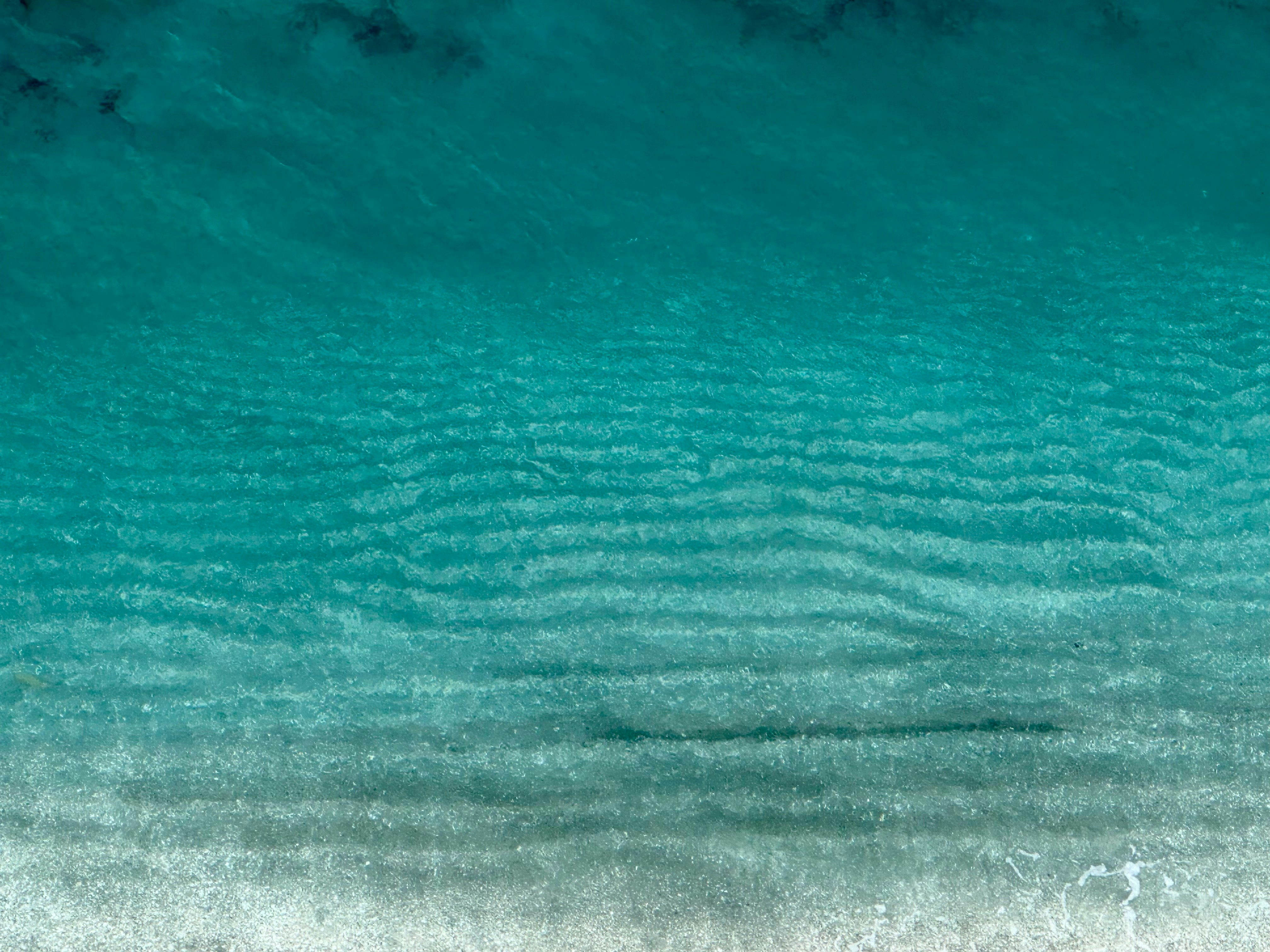 Photo by missylynnarts