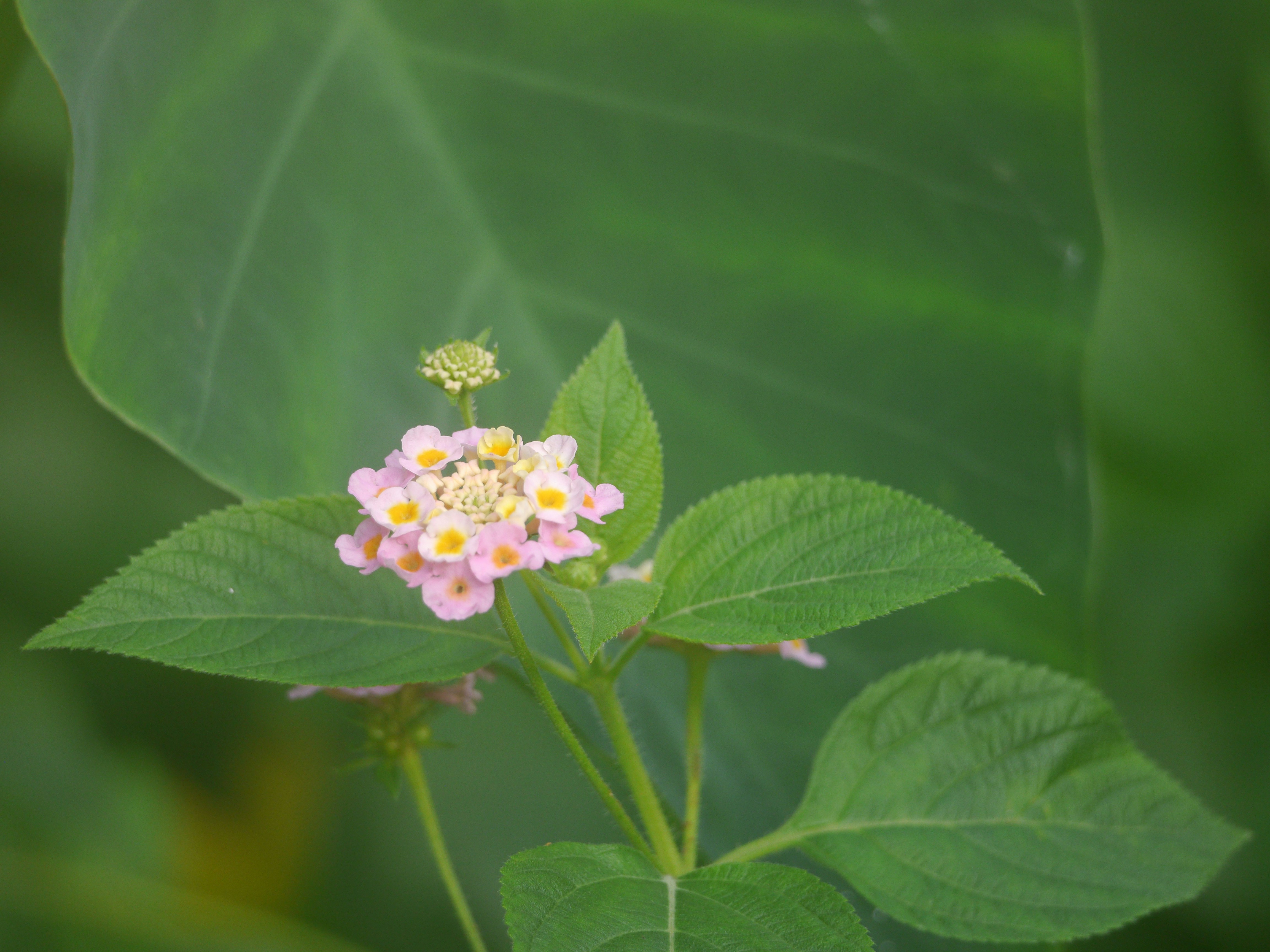 Photo by iqsphotography