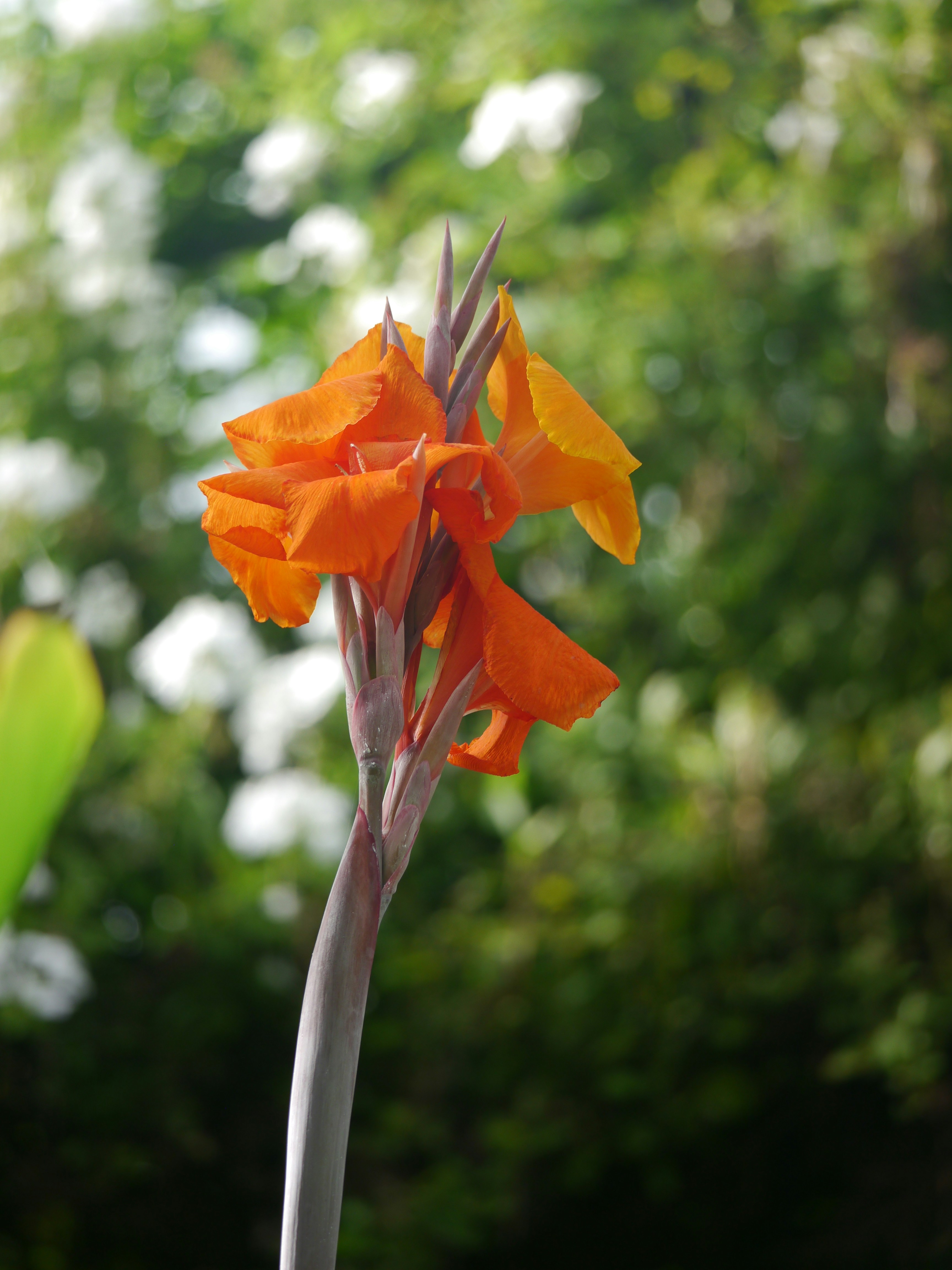 Photo by iqsphotography