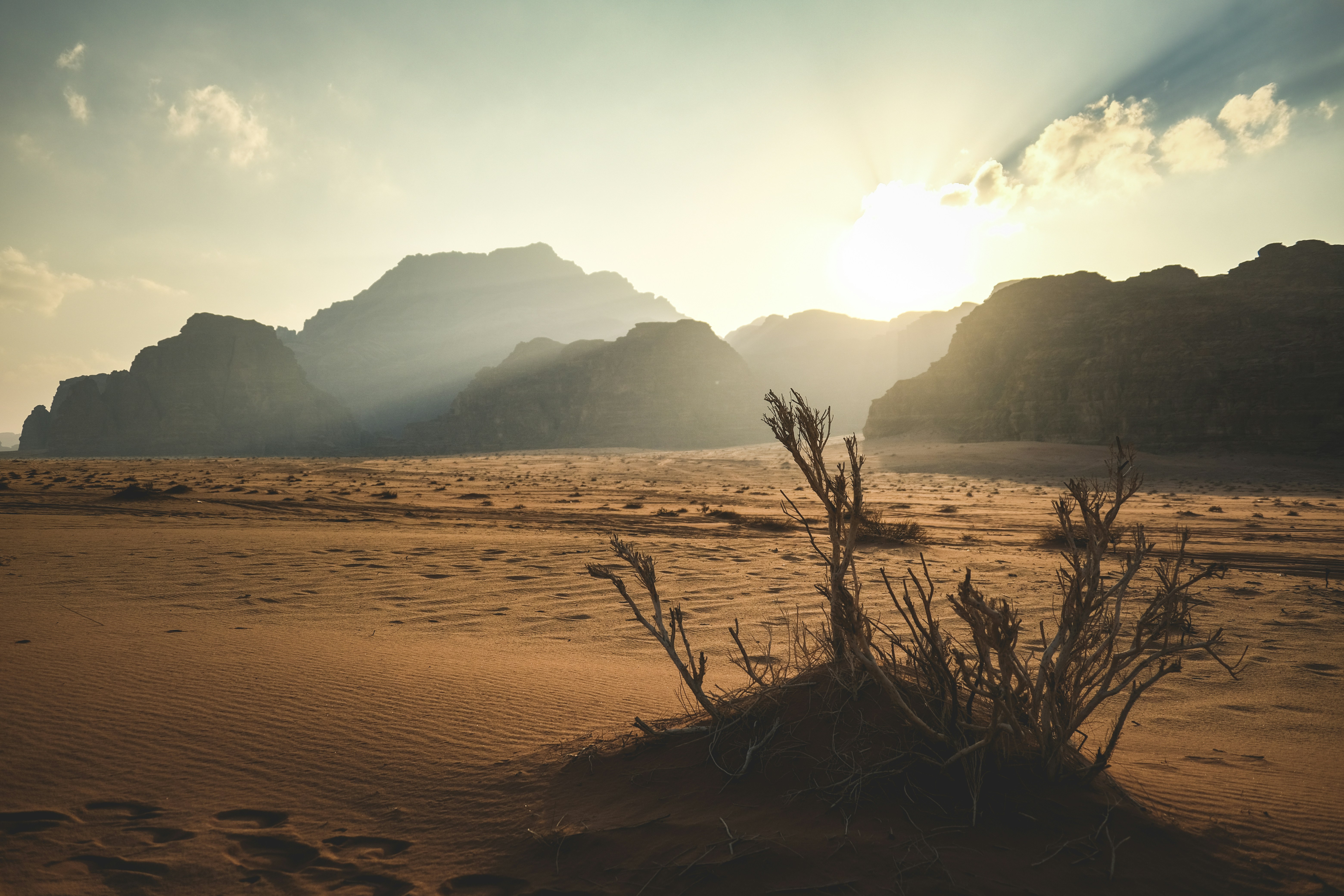 Photo by francesco_ungaro