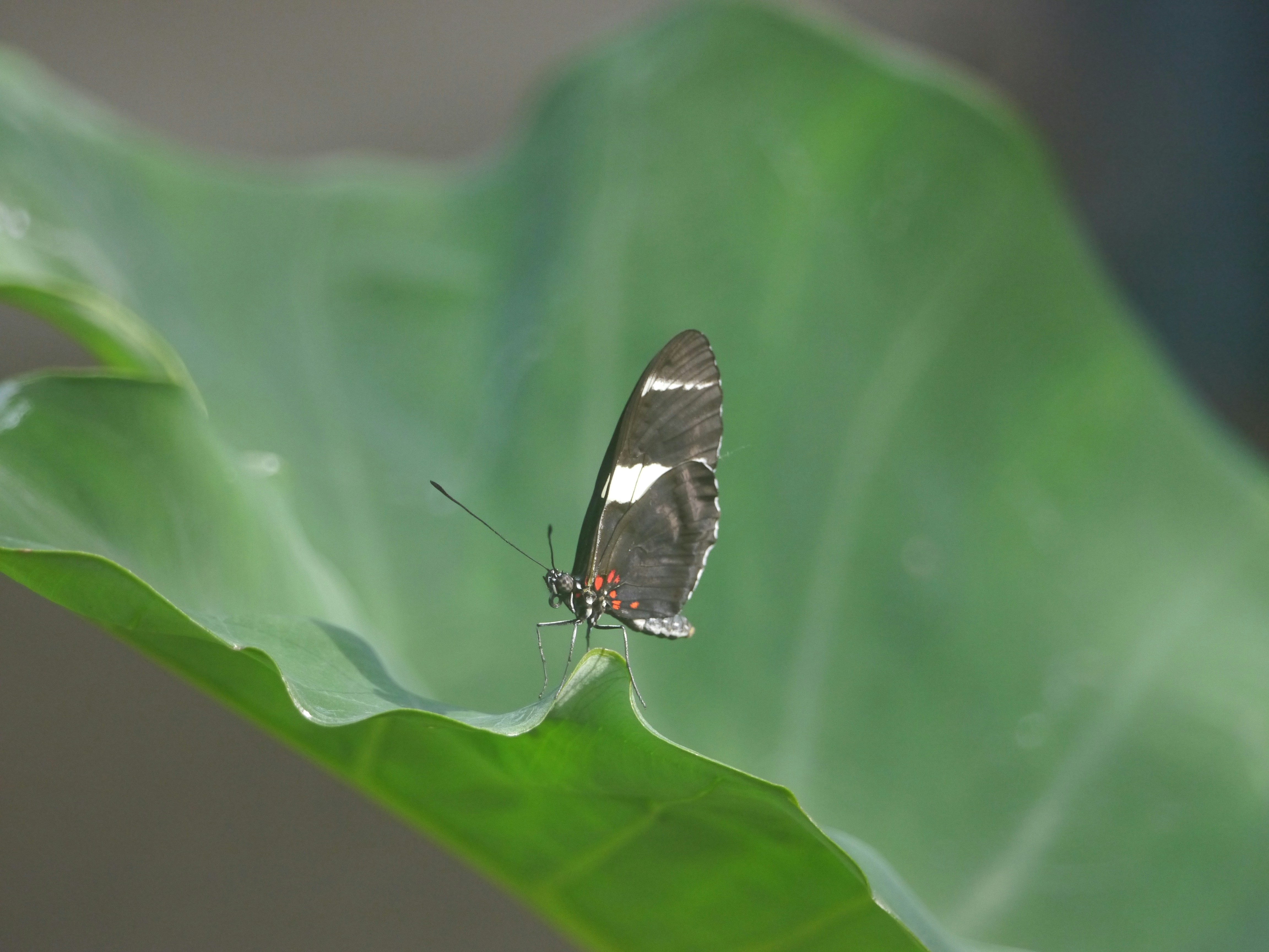 Photo by iqsphotography