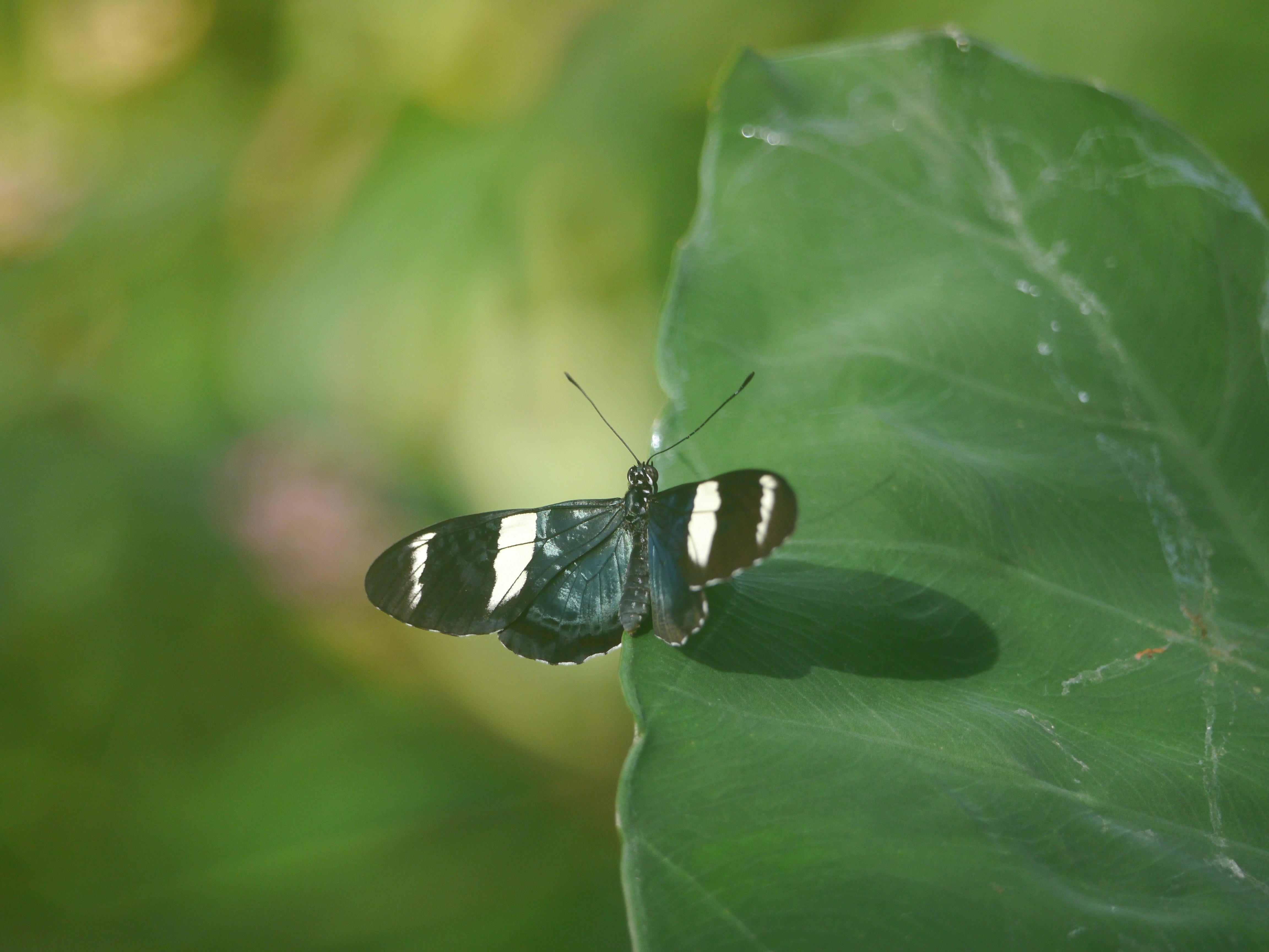 Photo by iqsphotography