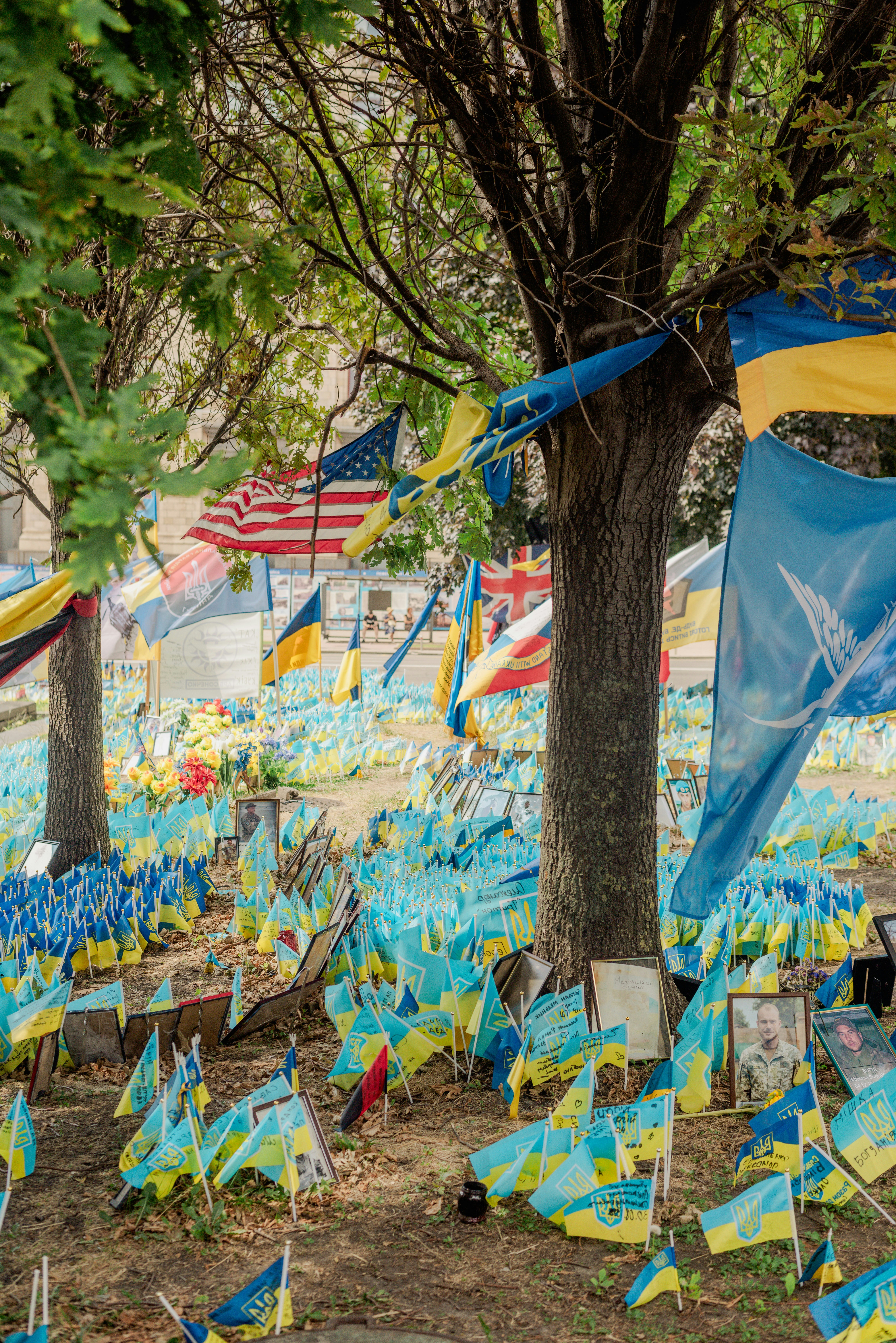 A bunch of kites that are in the grass