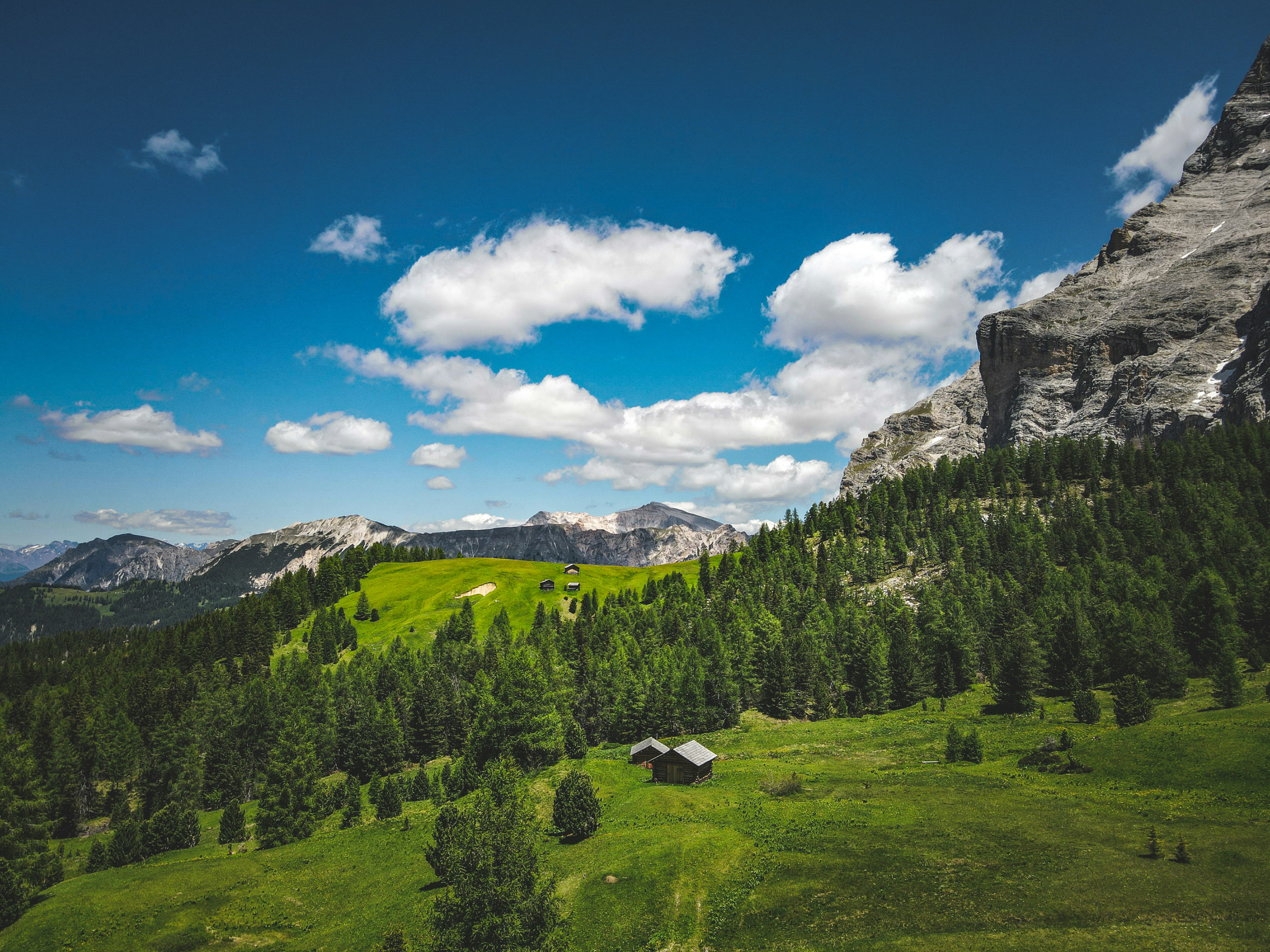 Photo by francesco_ungaro