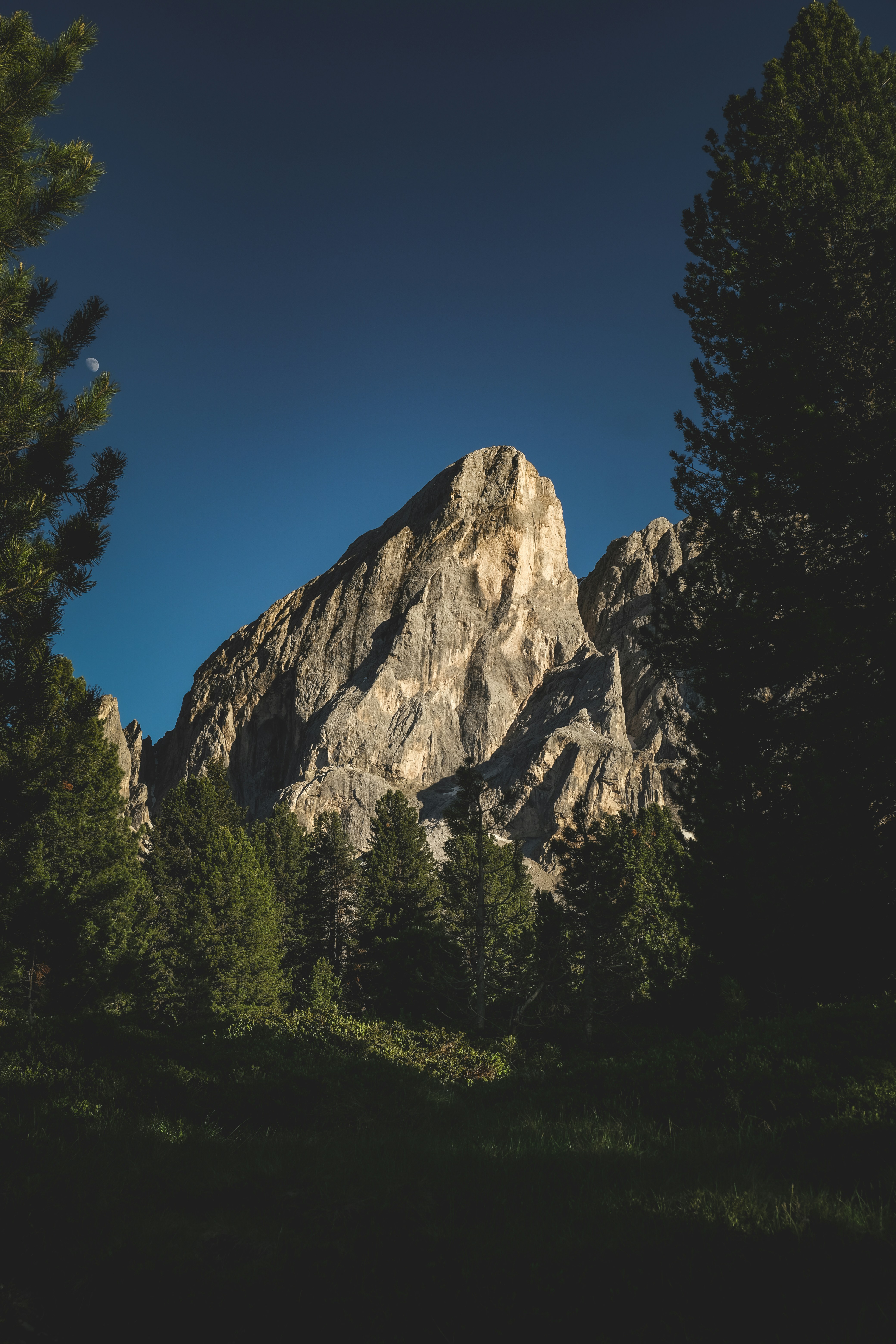 Photo by francesco_ungaro