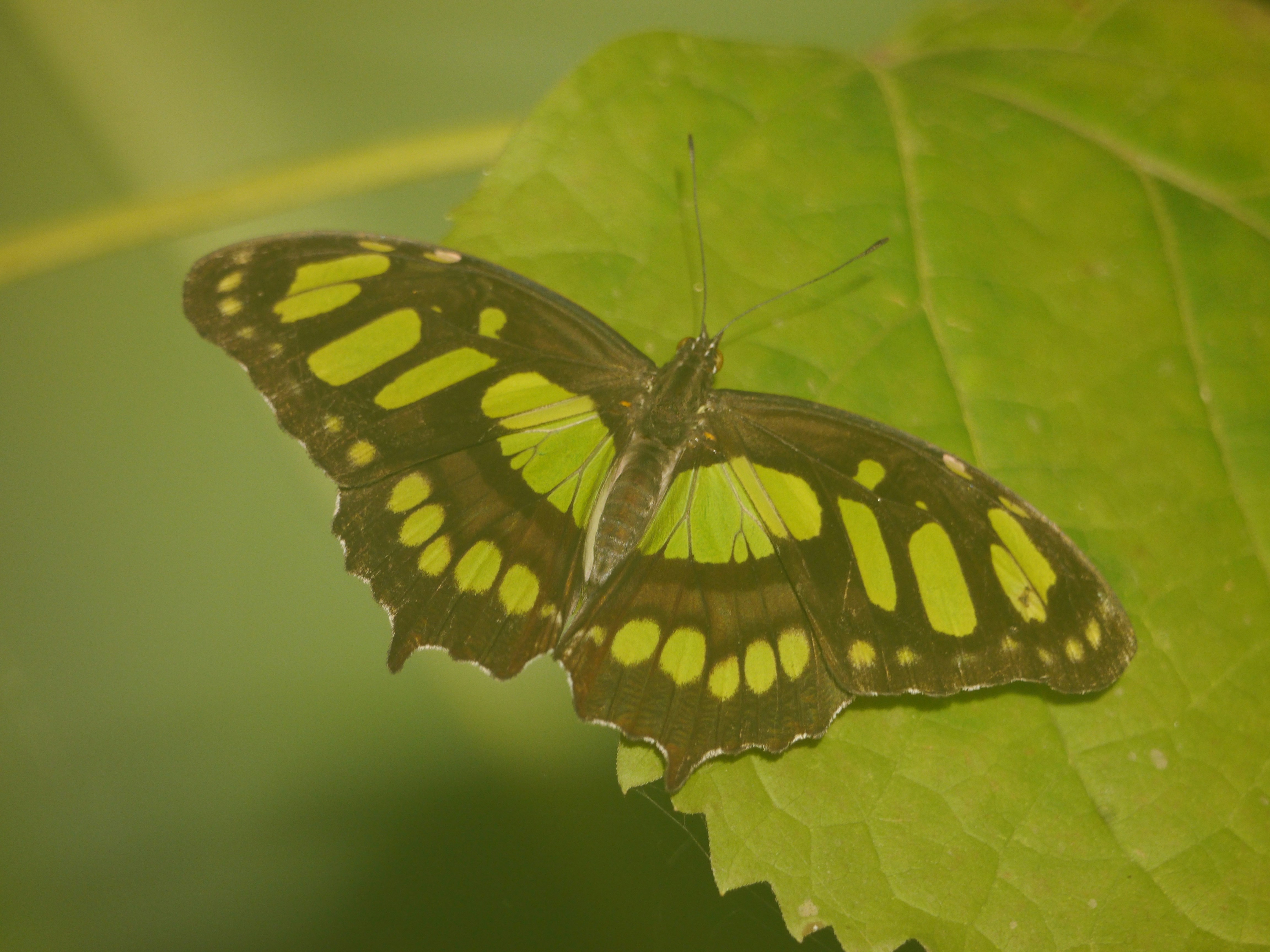 Photo by iqsphotography