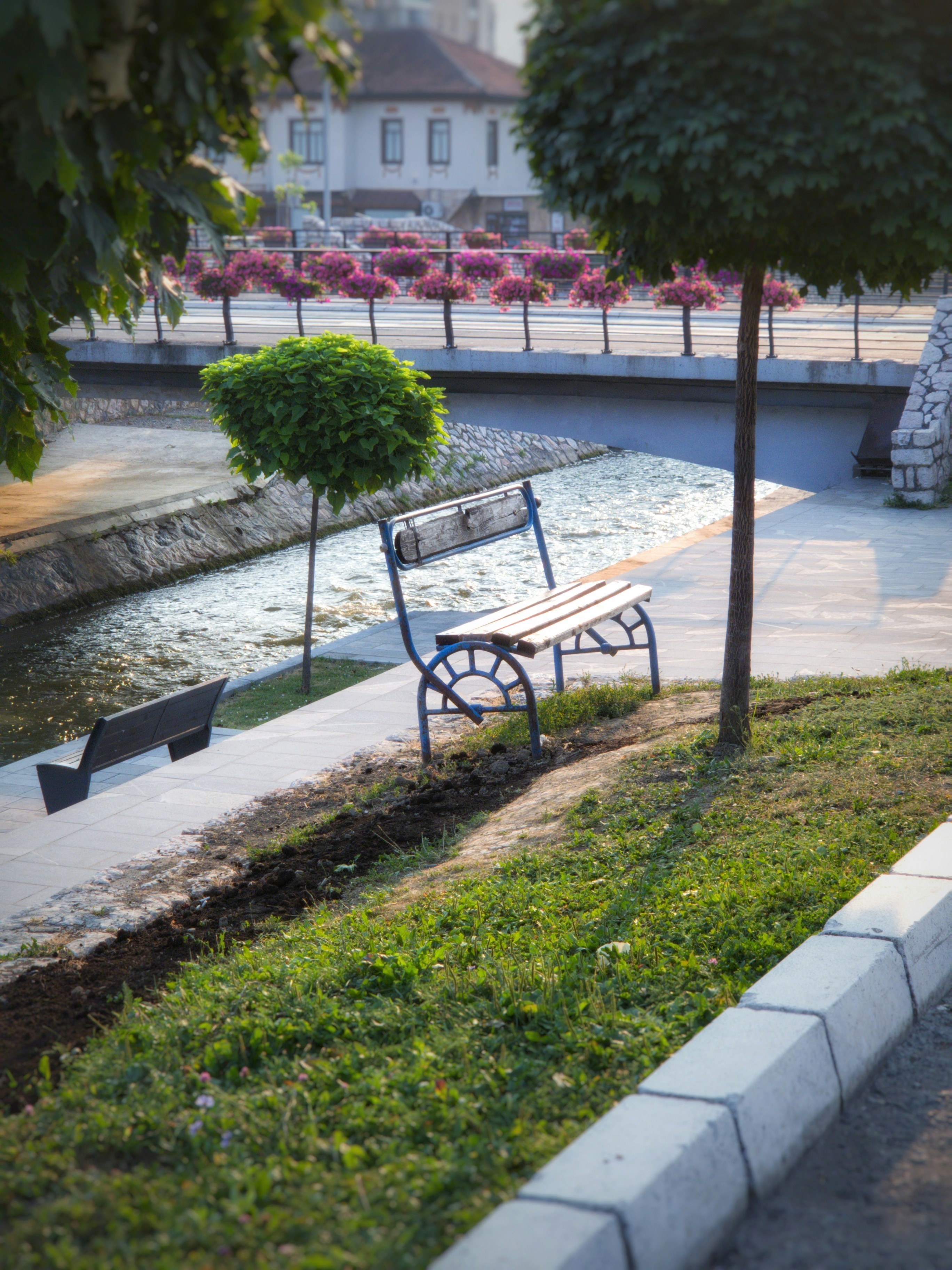 Photo by belmin_26_aljovic