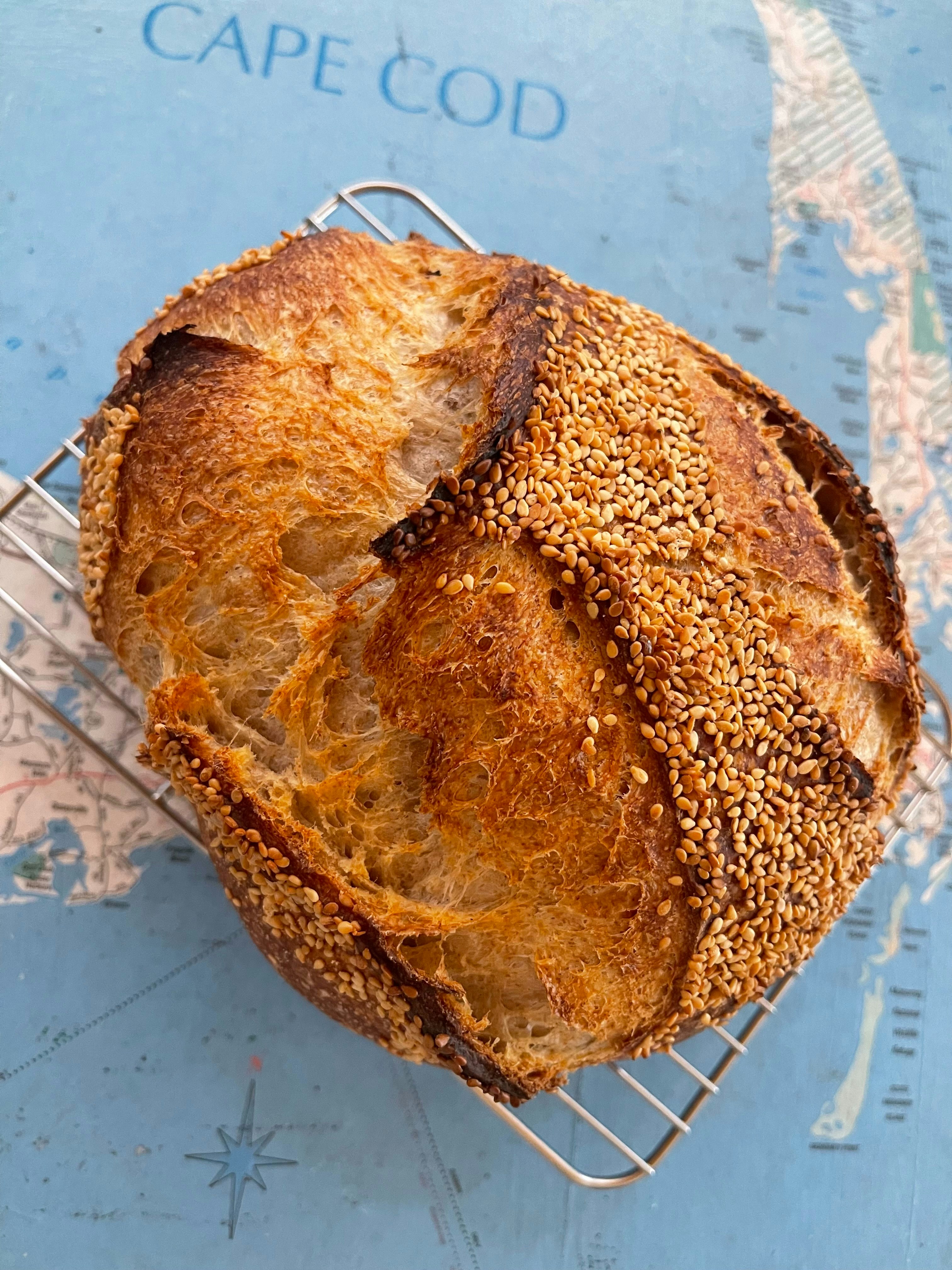 빵 터지는 과학적 망상?! 웃픈 뉴스 제보하고 꿀잼각!