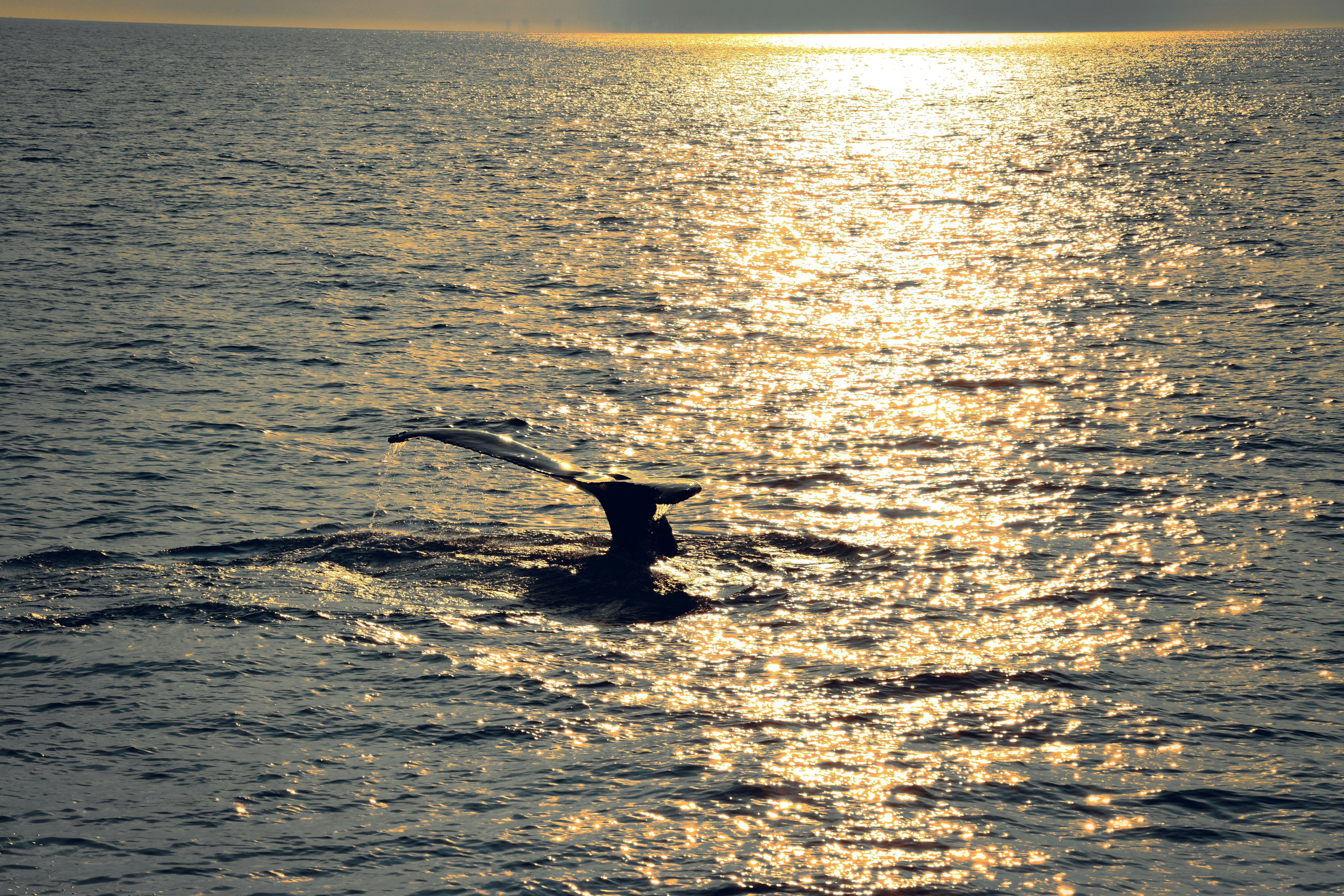 Photo by nh_landscapes