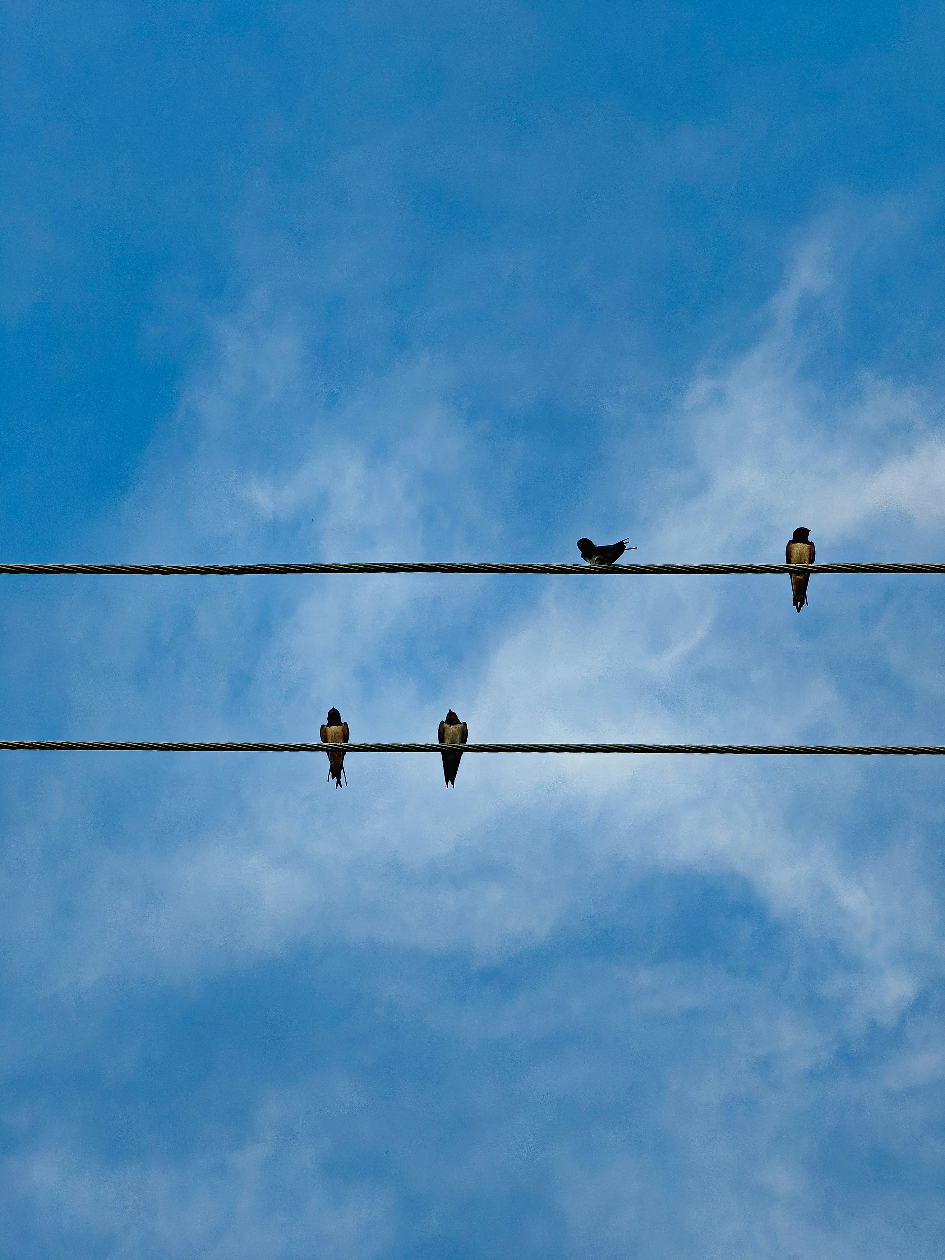 Photo by rohitsharma1785