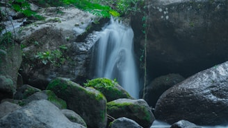 A small waterfall in the middle of a forest