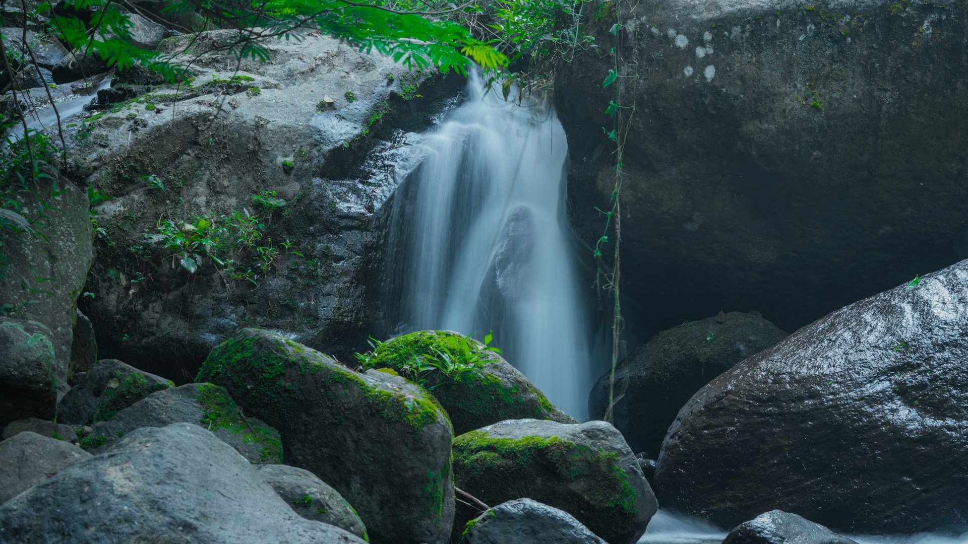 A small waterfall in the middle of a forest