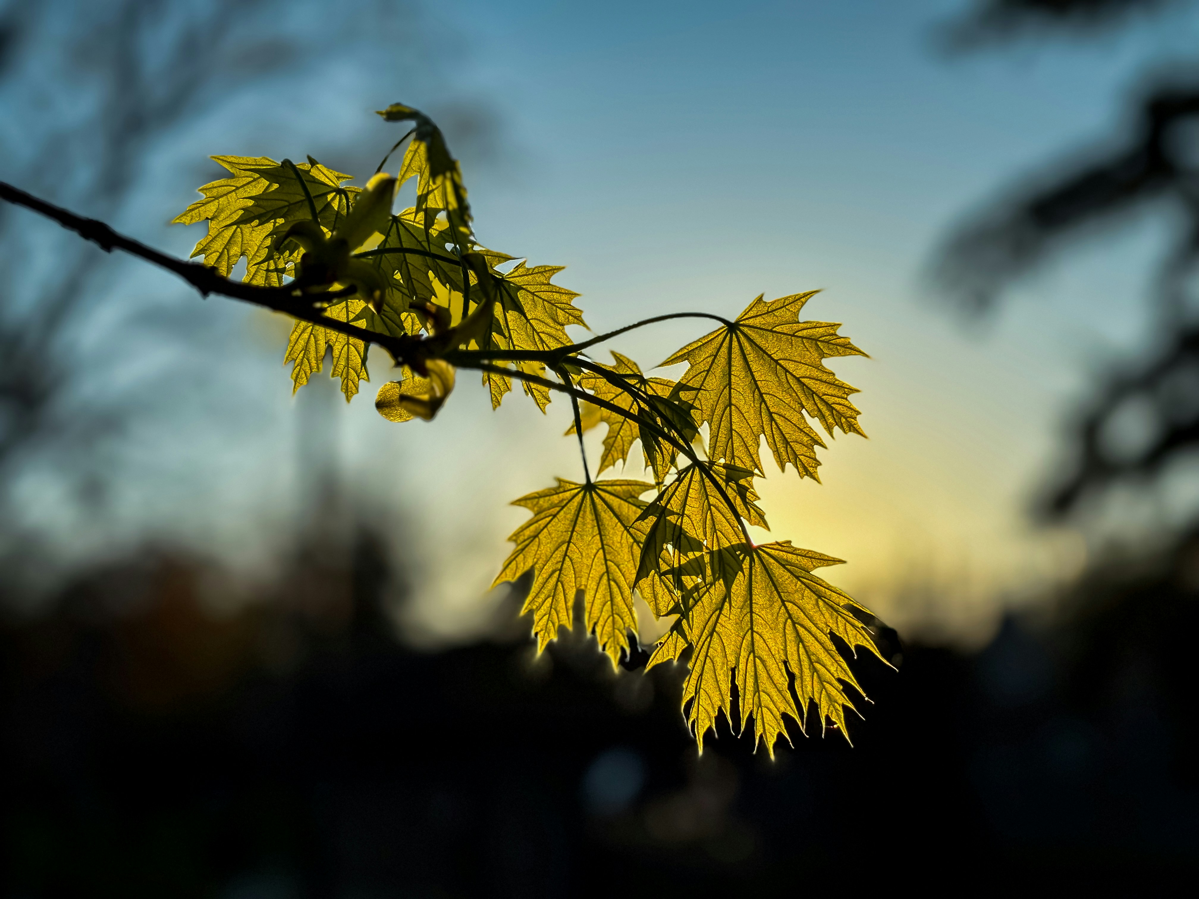 خصائص المثلث متساوي الساقين