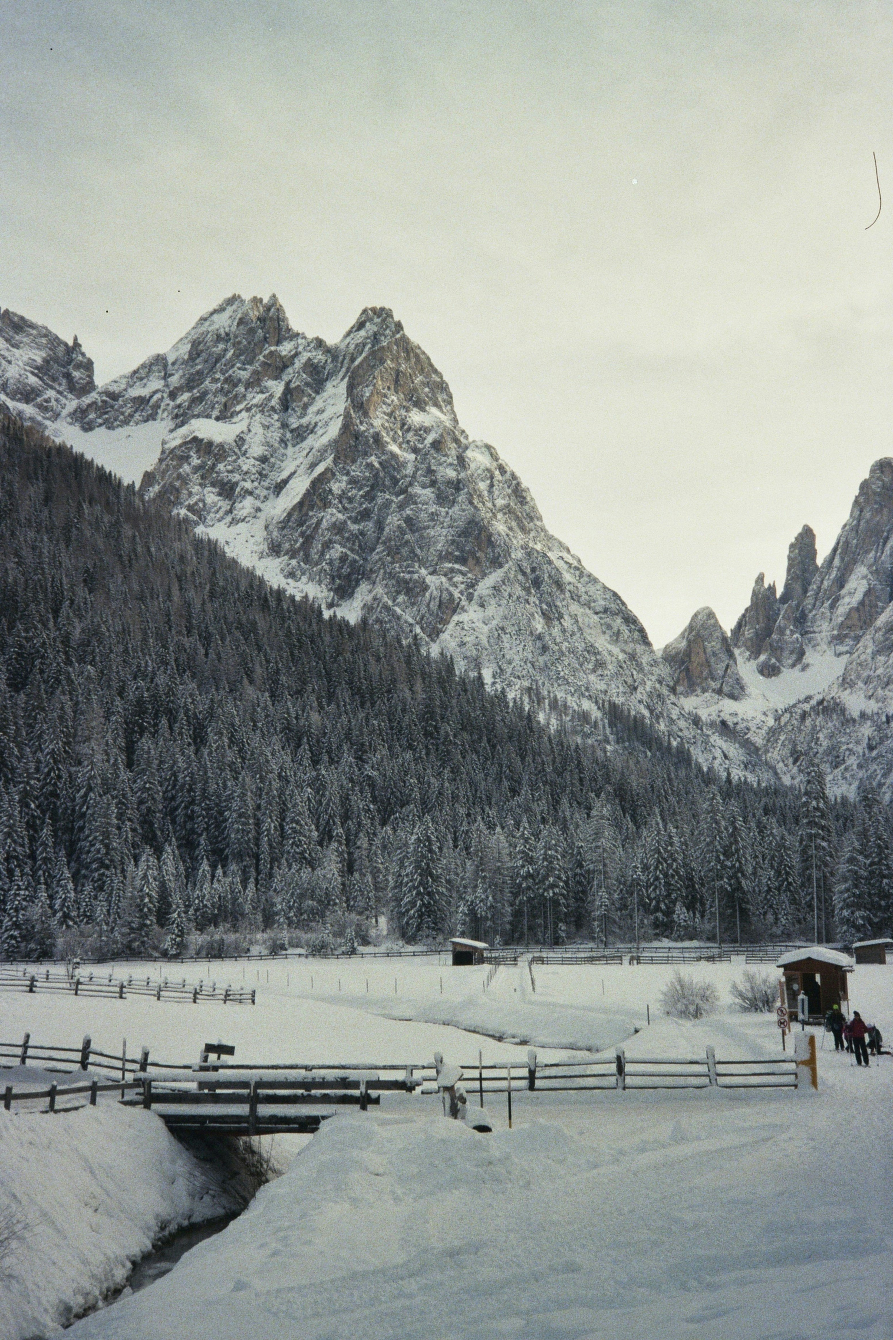 A snowy landscape with mountains in the background
