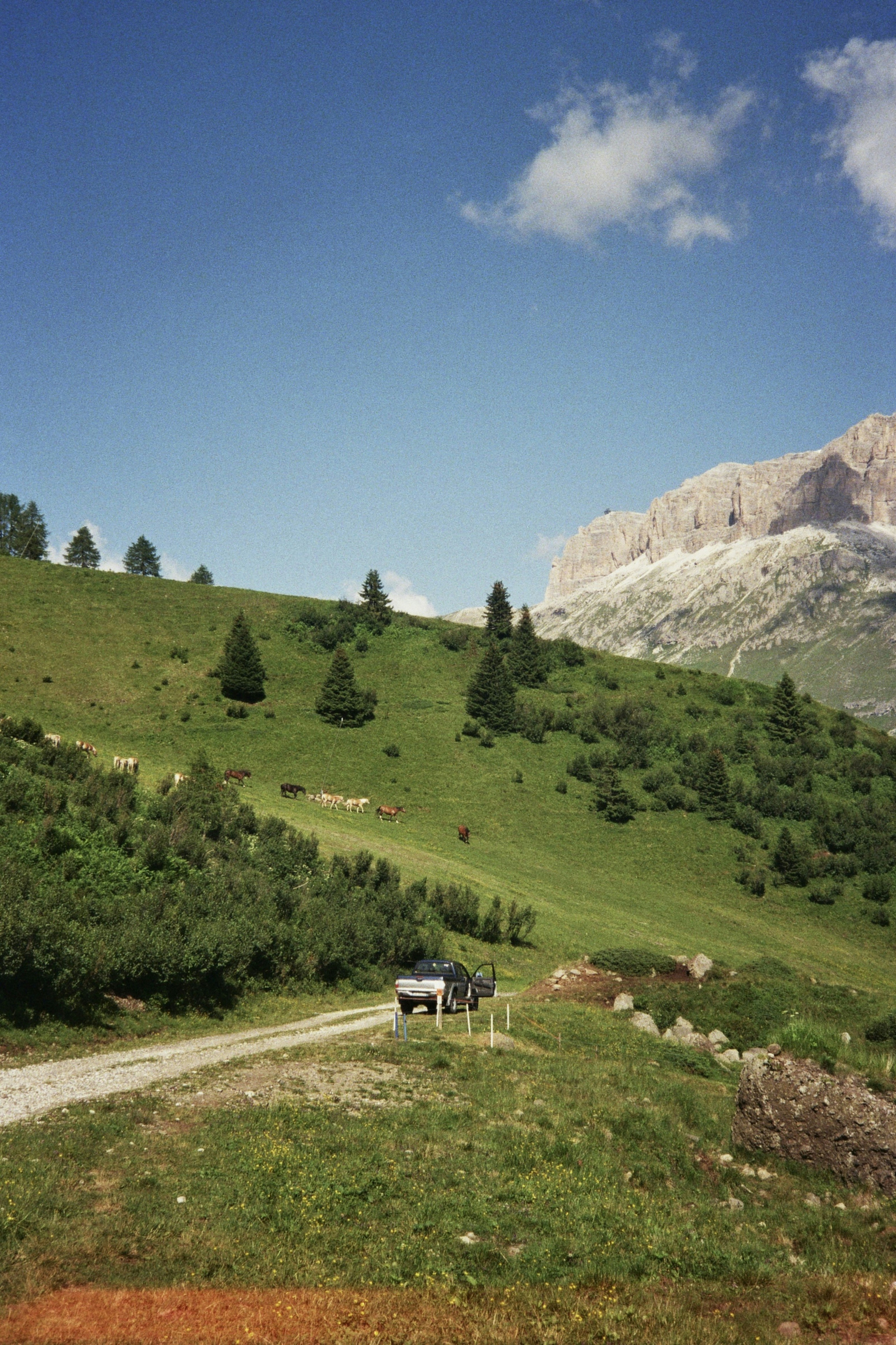 A dirt road in the middle of a lush green hillside