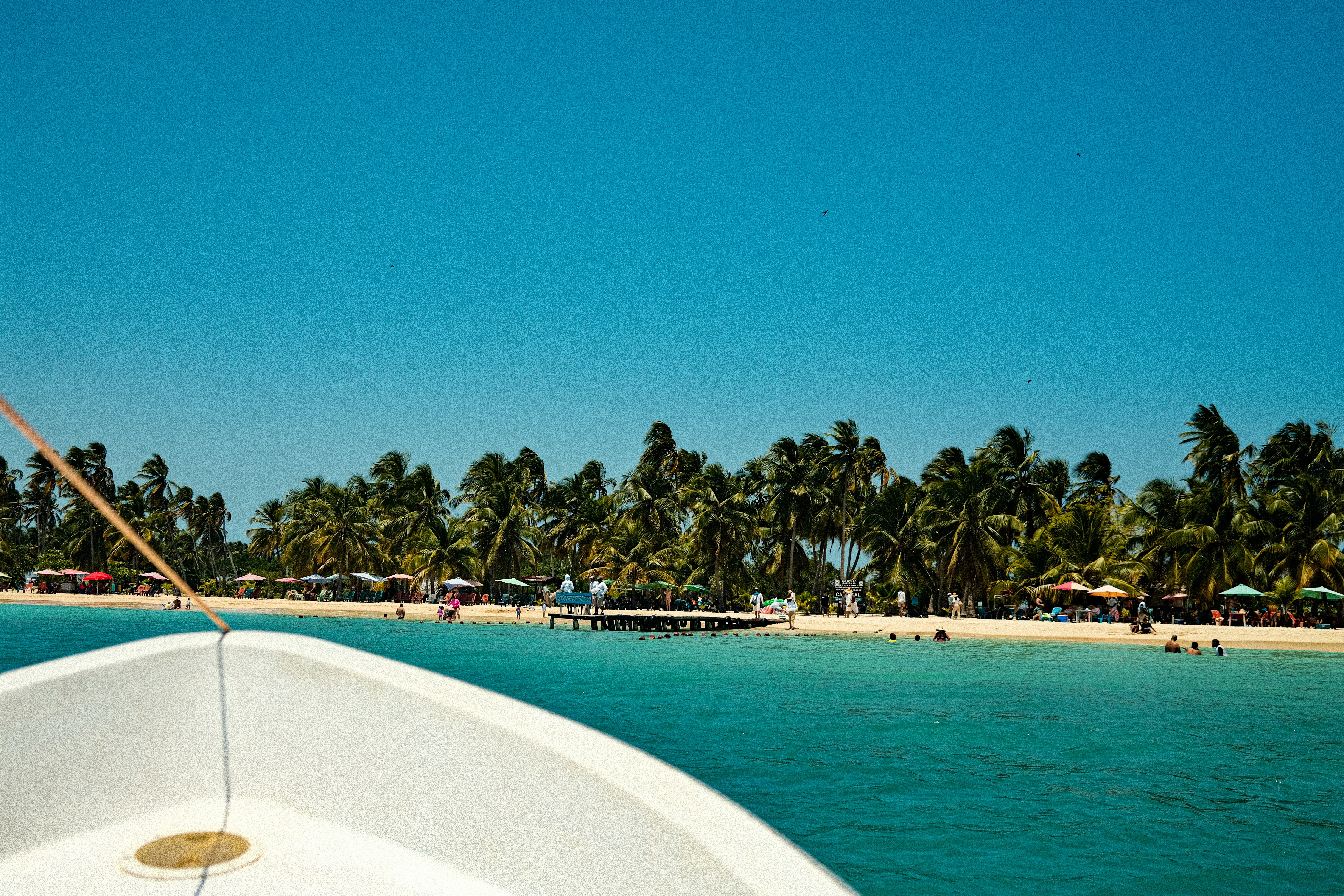 A boat in the water with palm trees in the background