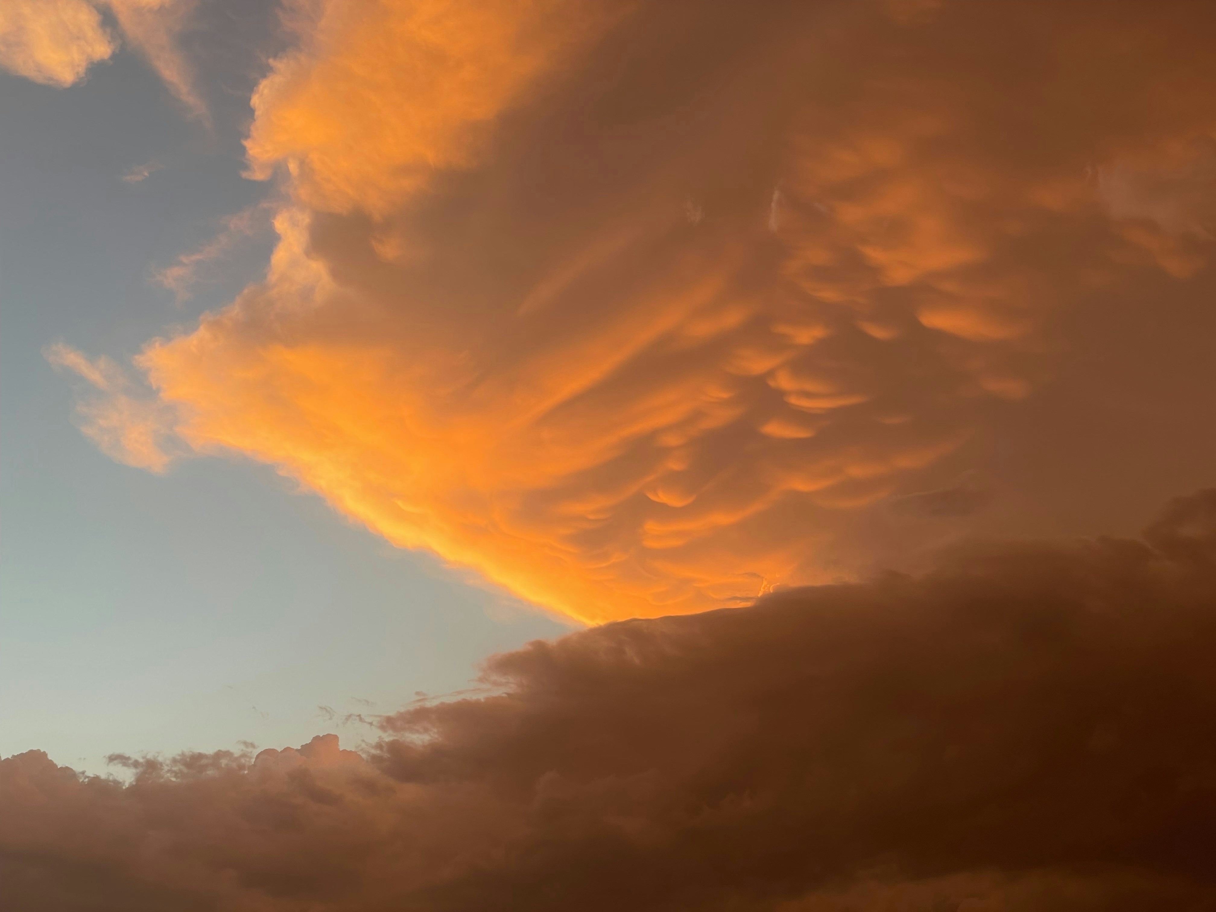 Photo by mouldy_coffee