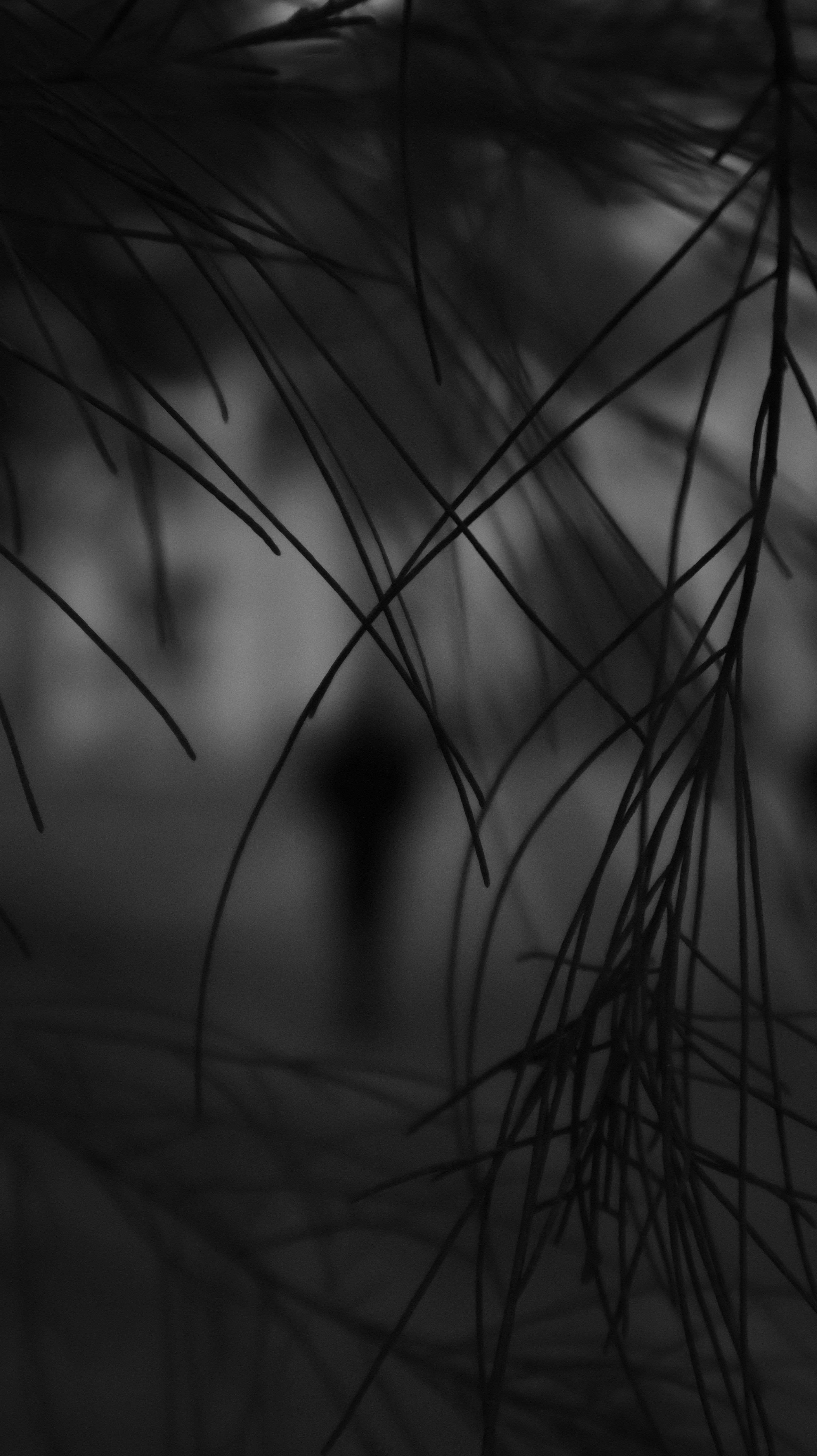 Photo by fatimakhan_noor