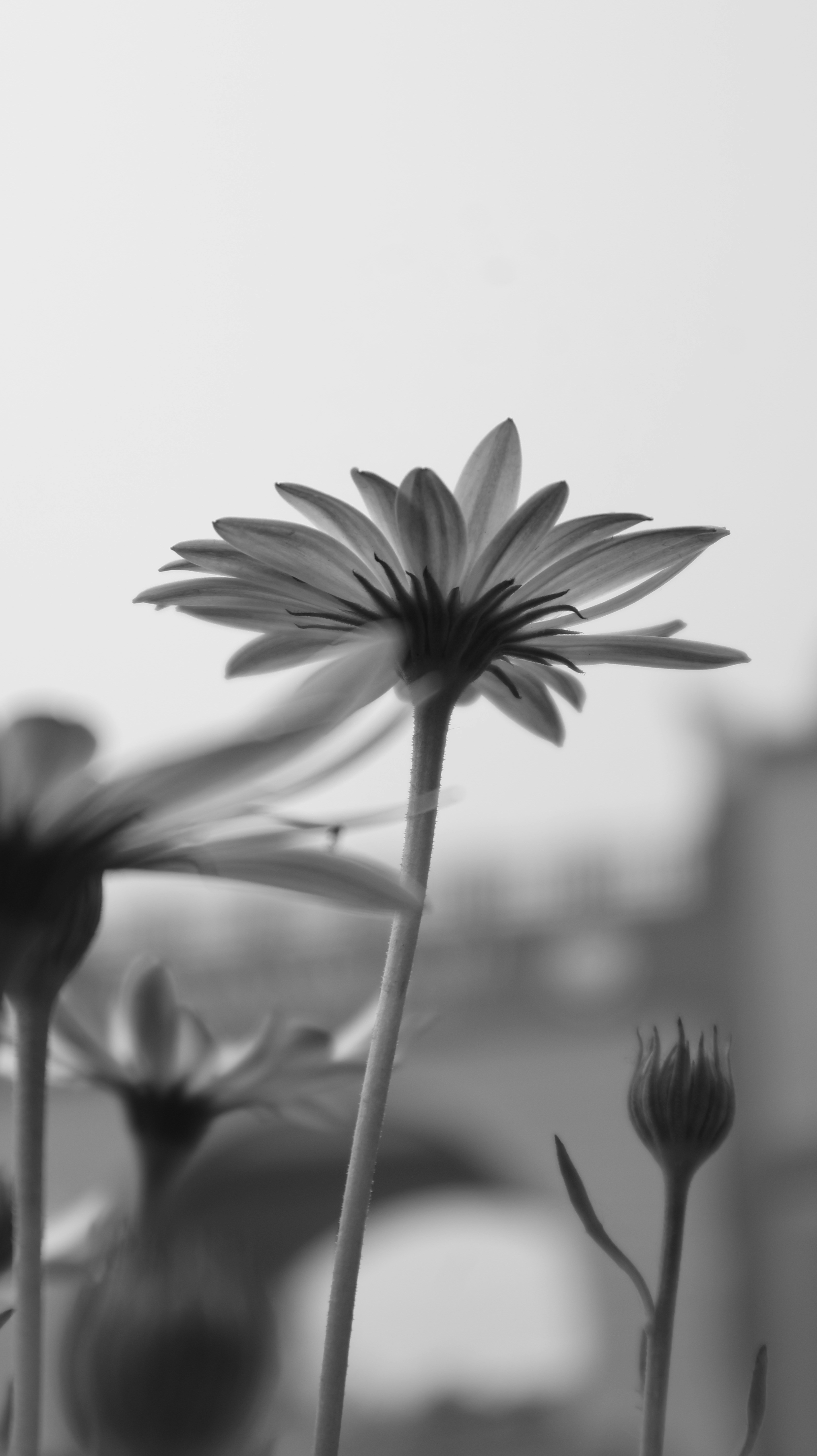 Photo by fatimakhan_noor