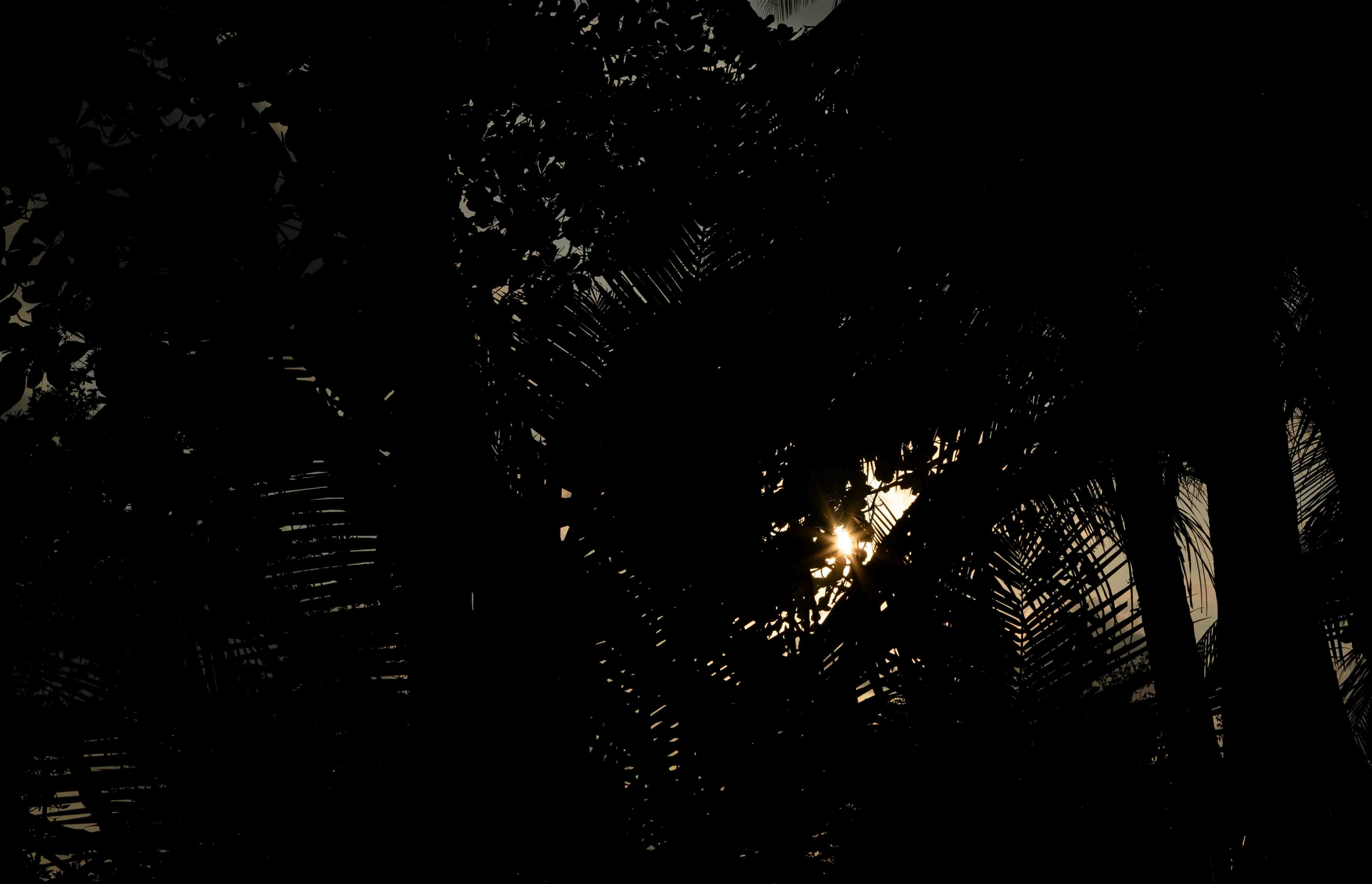 デリー屋台グルメ冒険マップ：まとめ related image