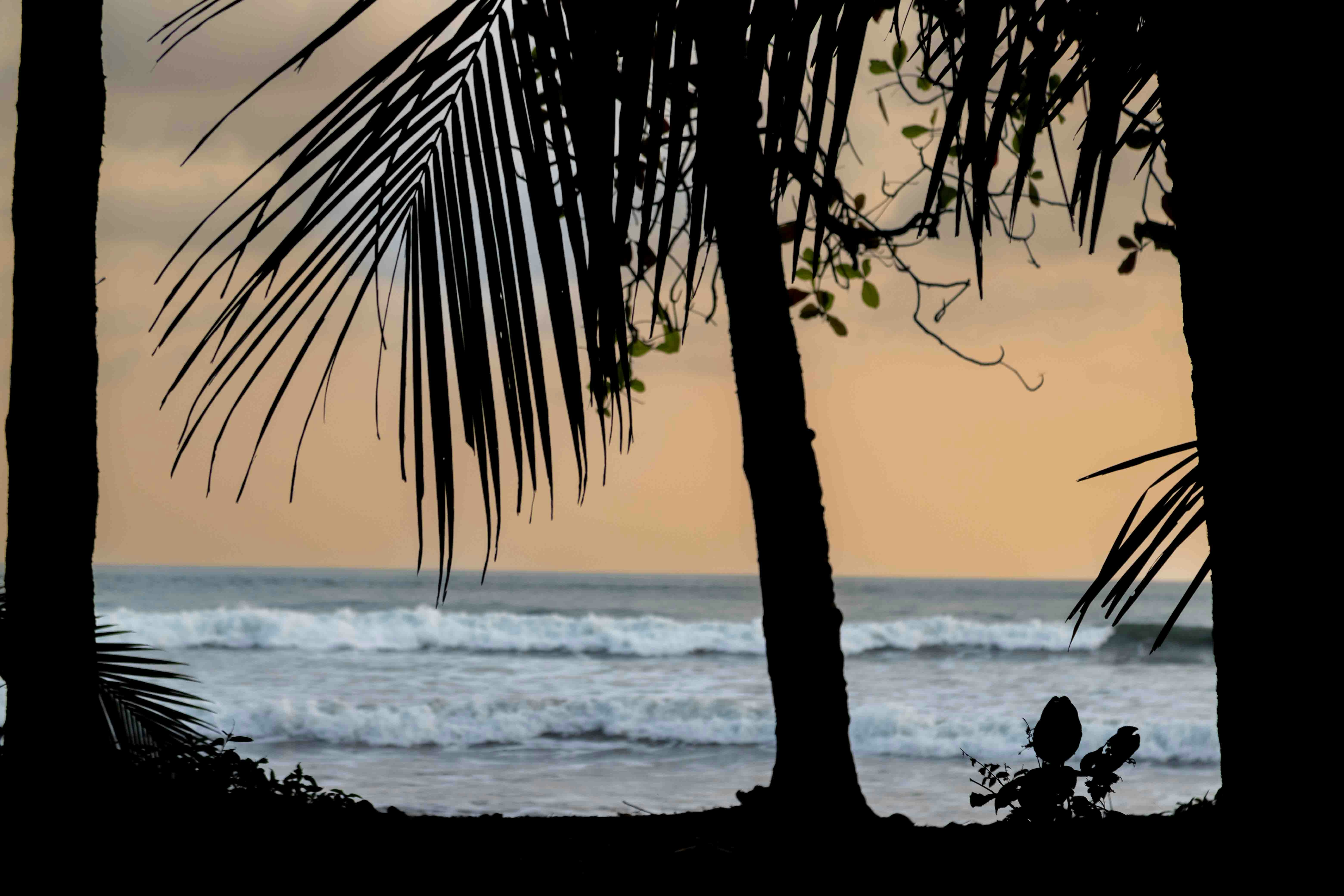 Costa Rica Reisekosten für Surfer: So planst du dein Budget richtig
