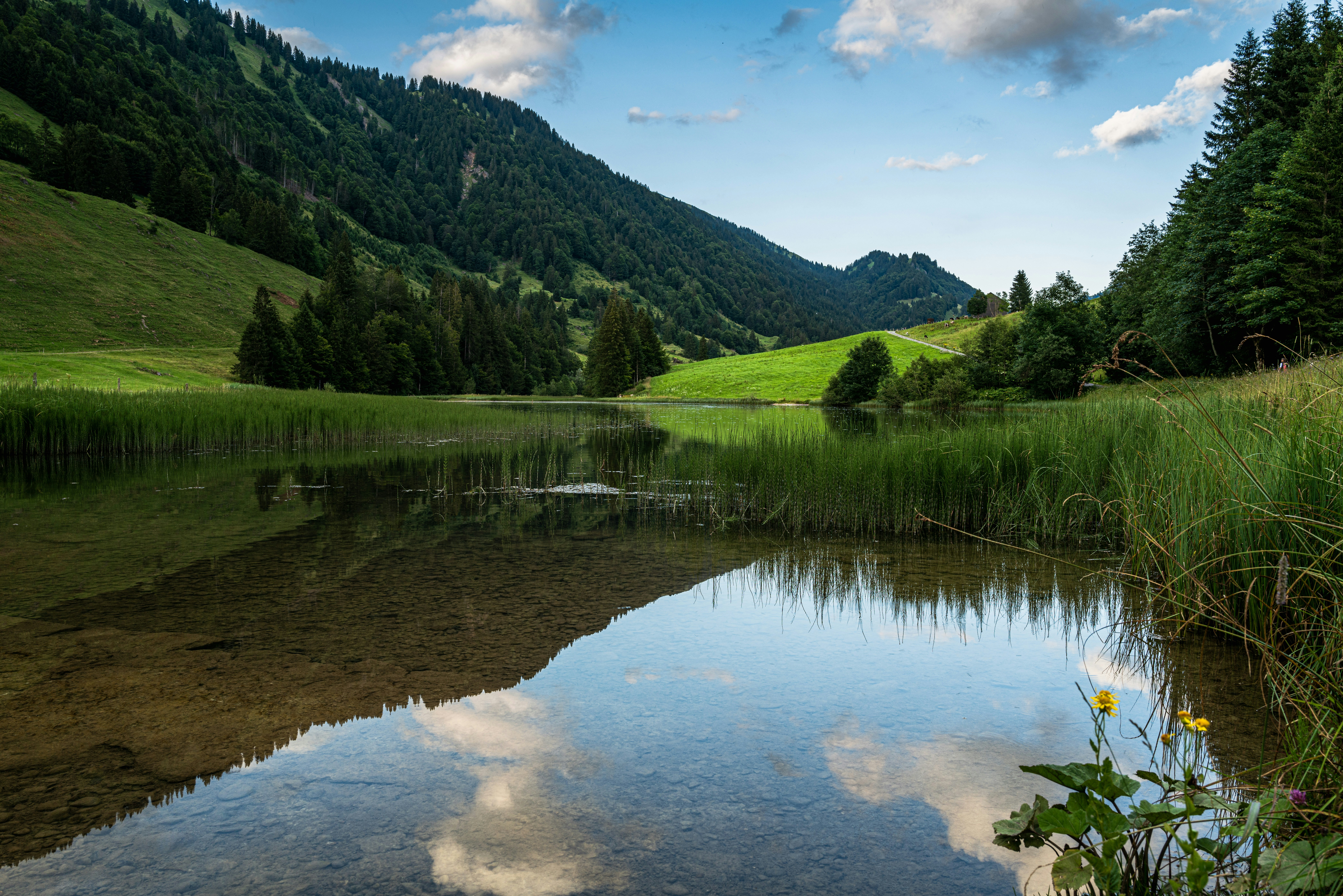 Vorarlberg Strong: Share Your Wishes, Hope & Love Now