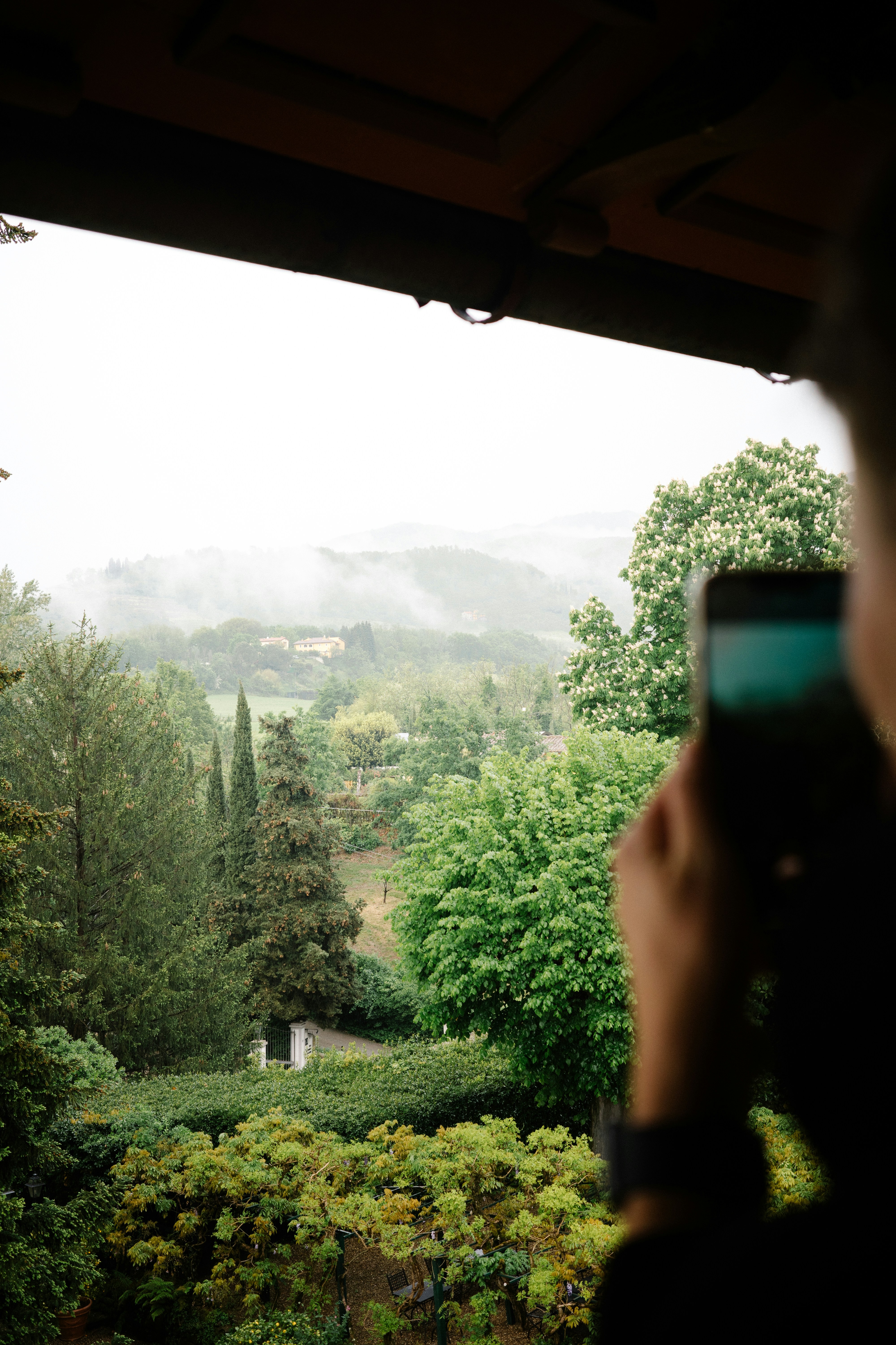 A person taking a picture of a lush green forest