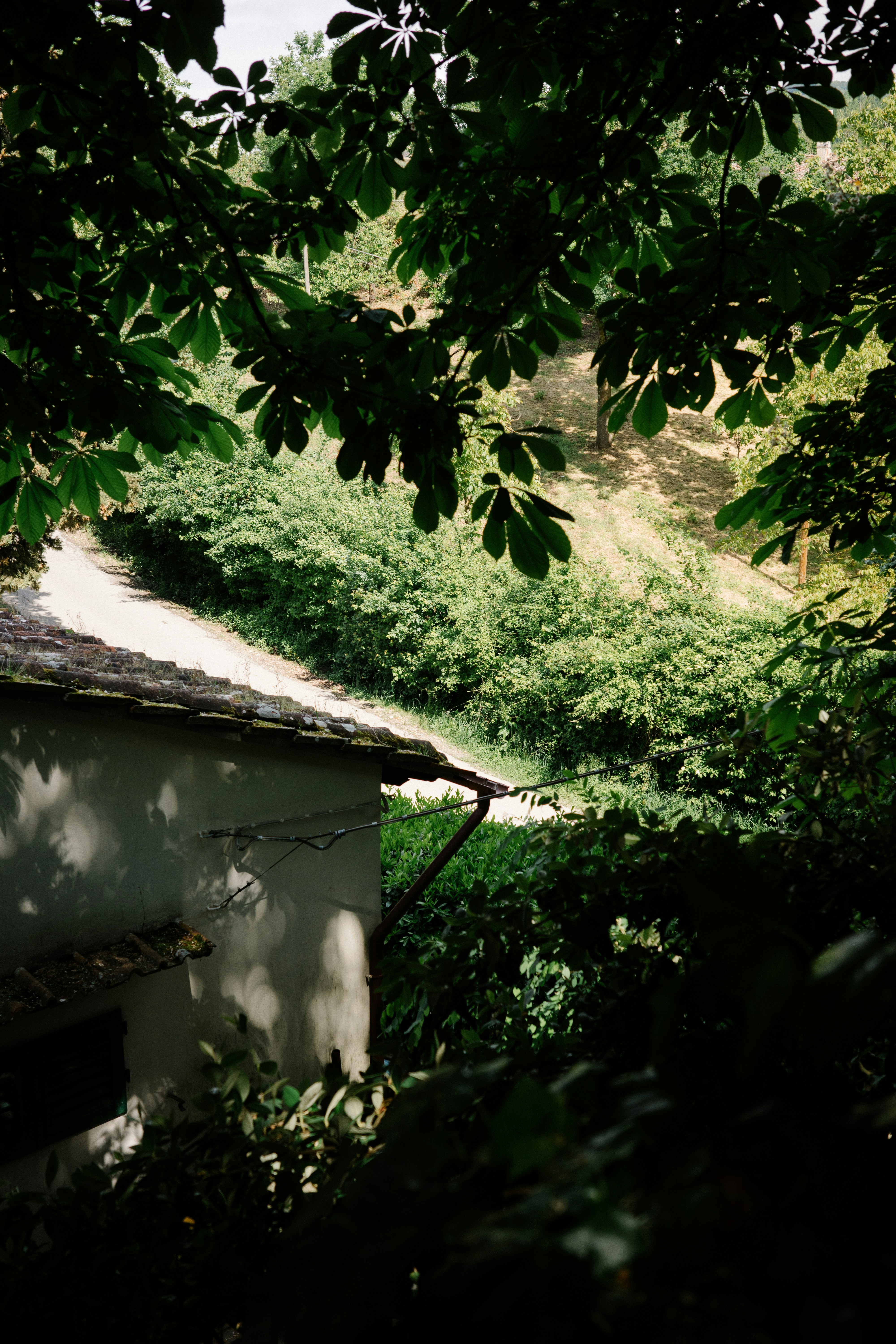 Photo by antonkhmelnitsky