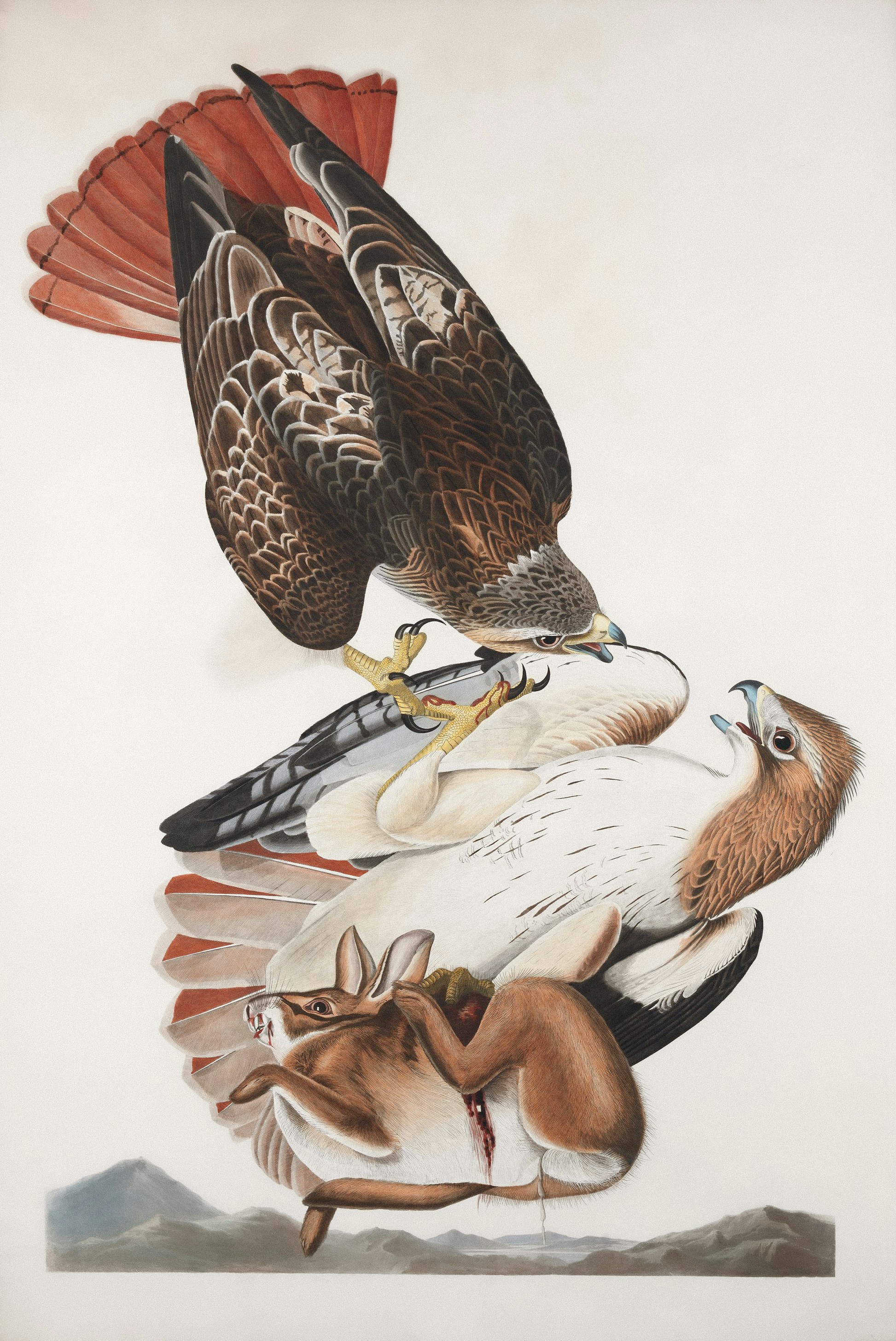 Photo by museumsvictoria