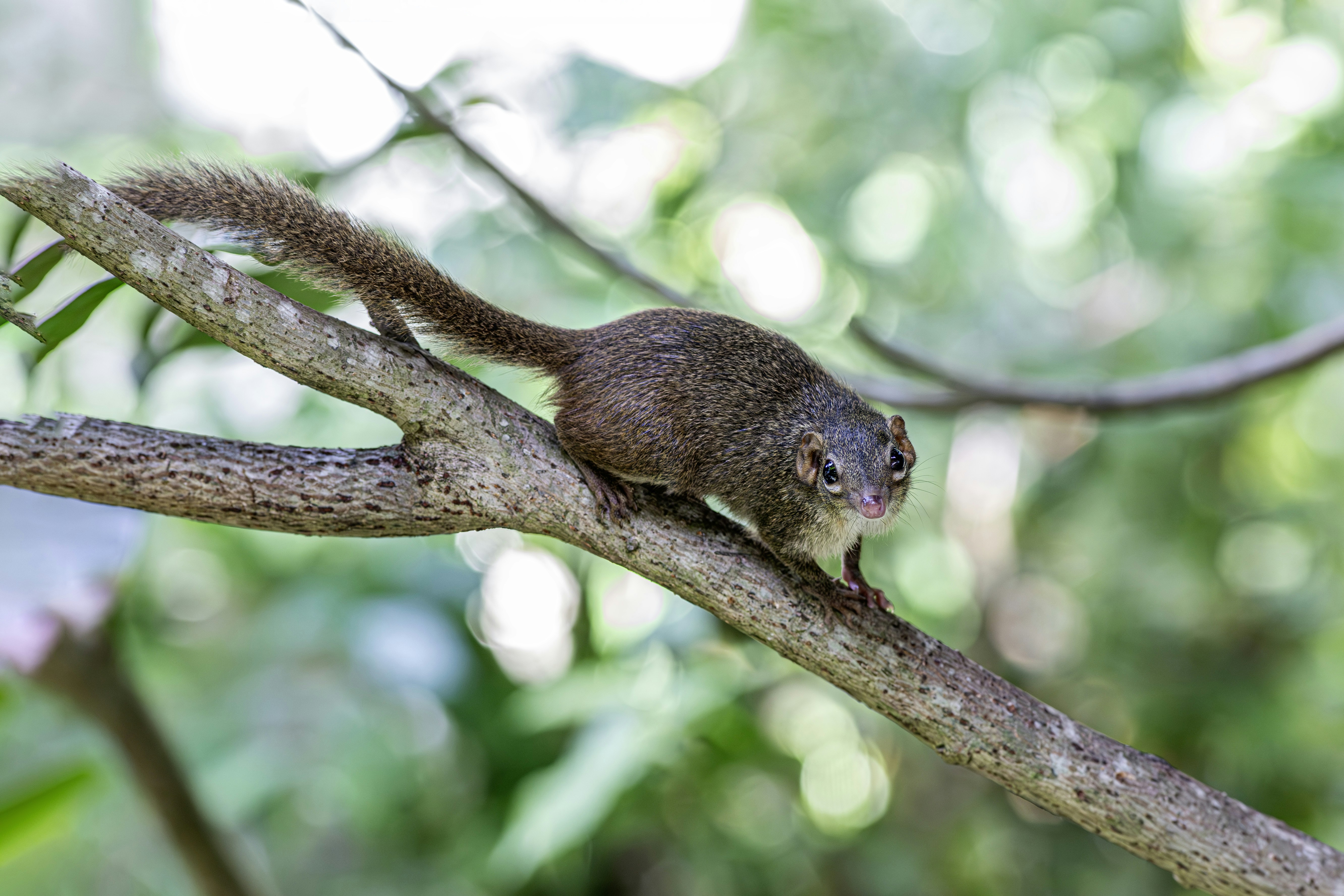 Photo by erik_karits