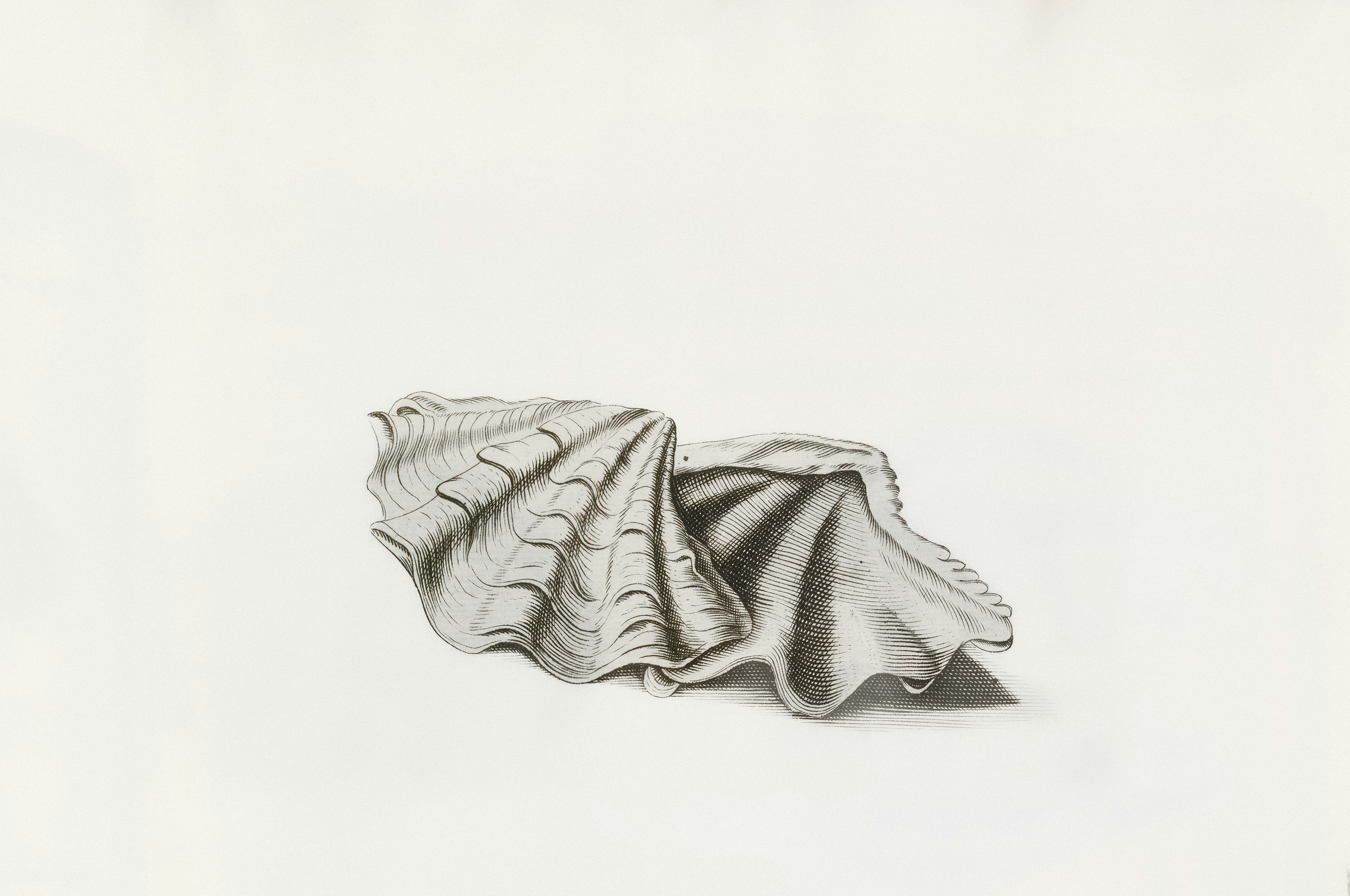 Photo by museumsvictoria