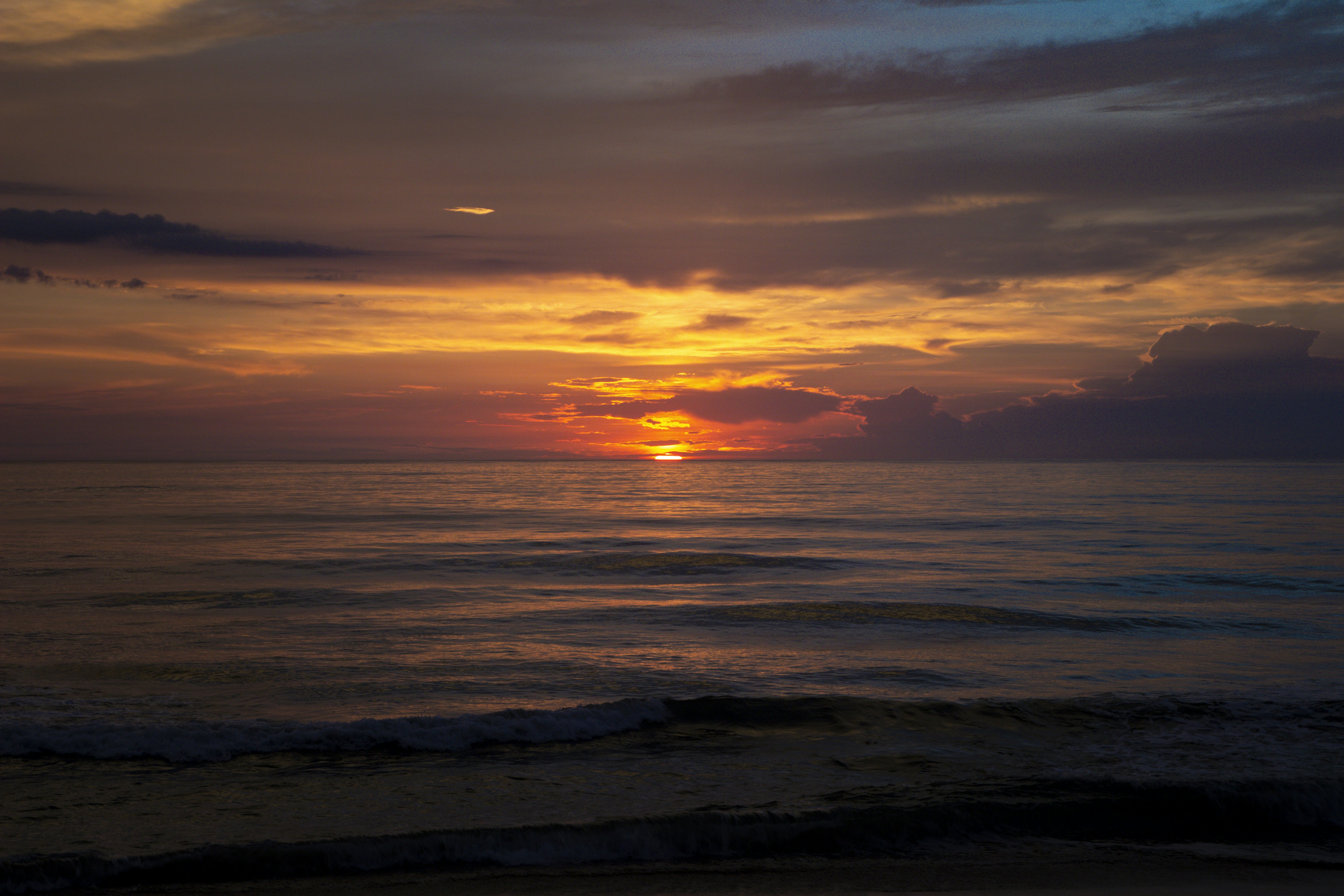 Photo by androidhammer