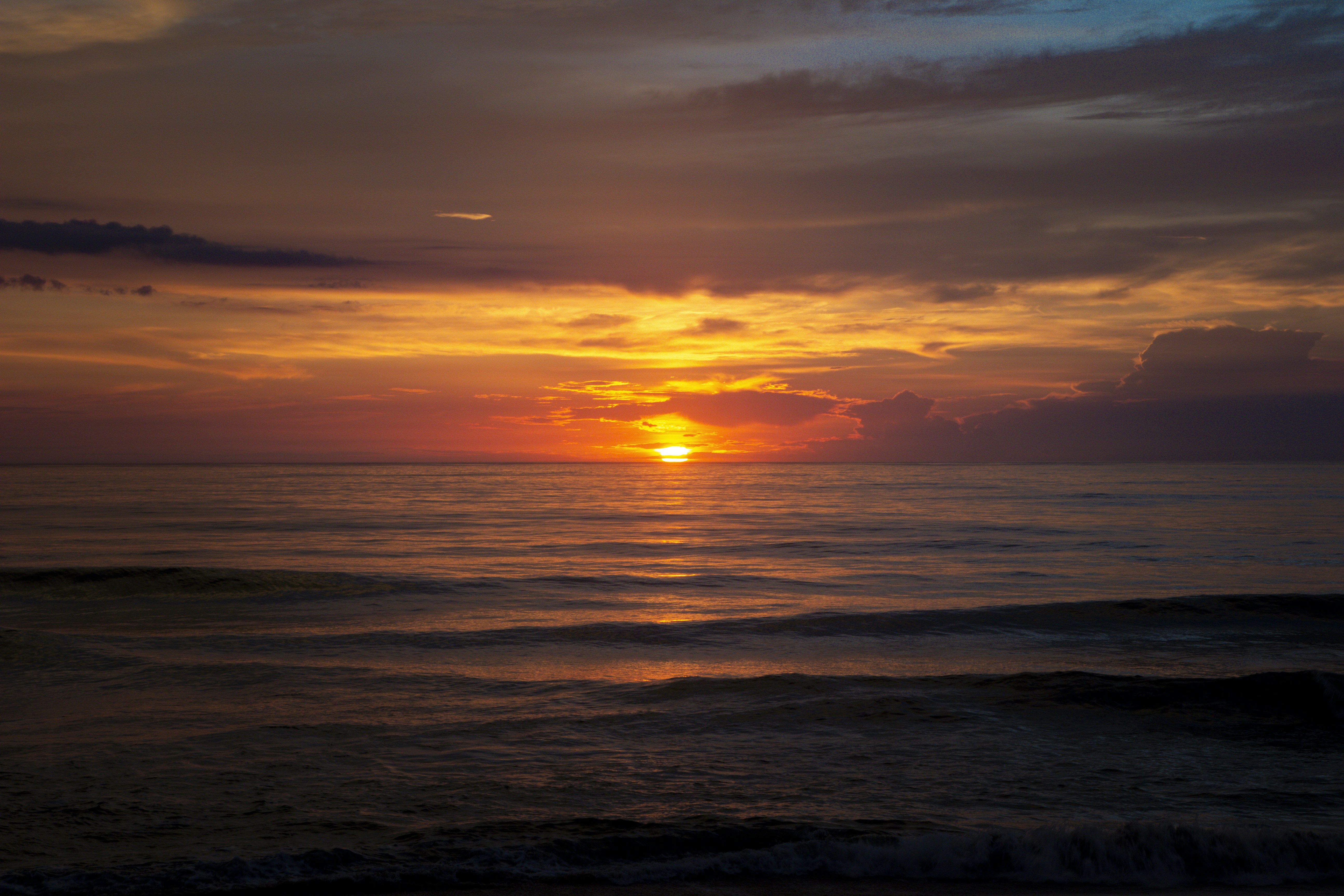 Photo by androidhammer