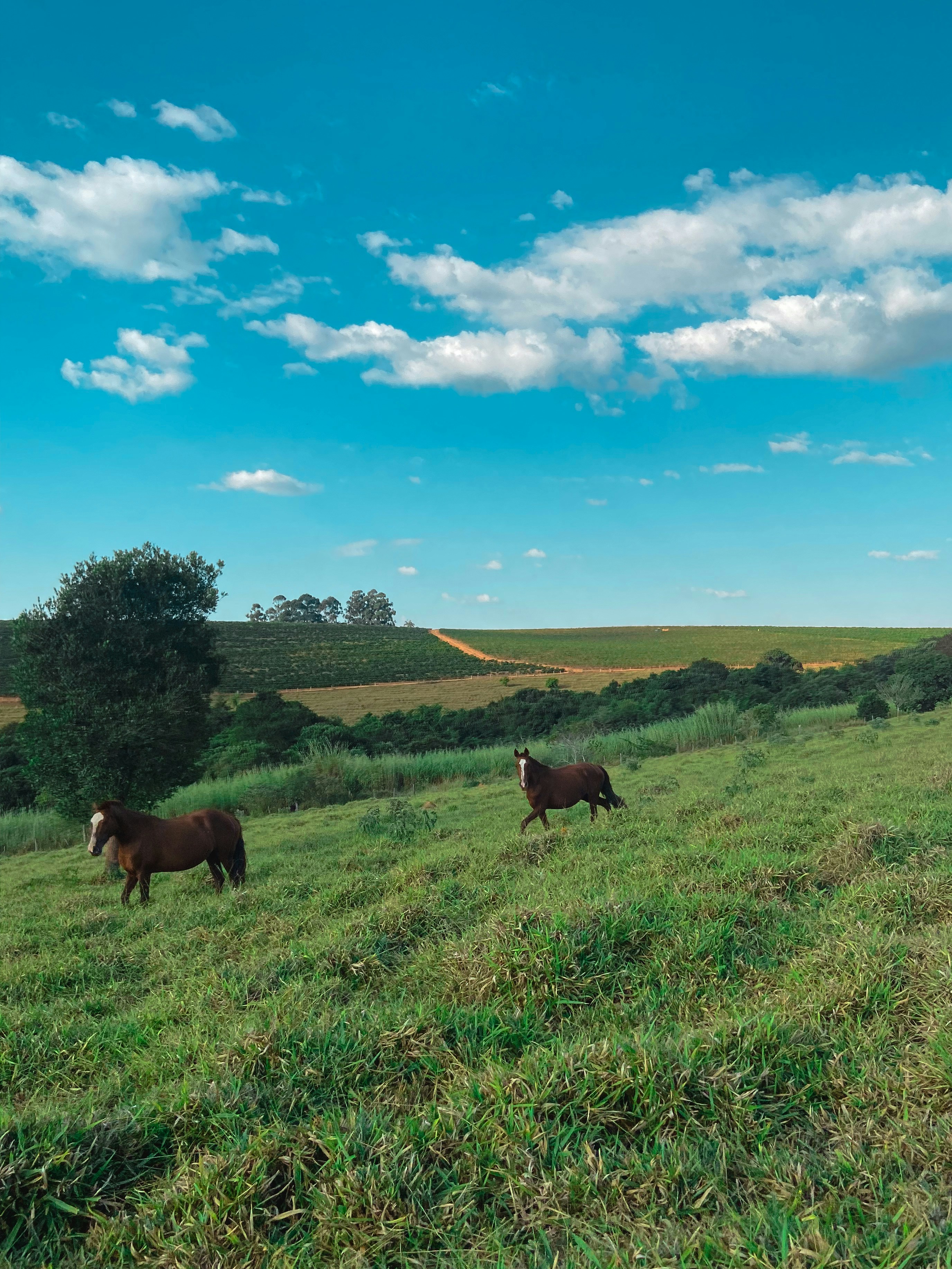 Photo by erikagraziele