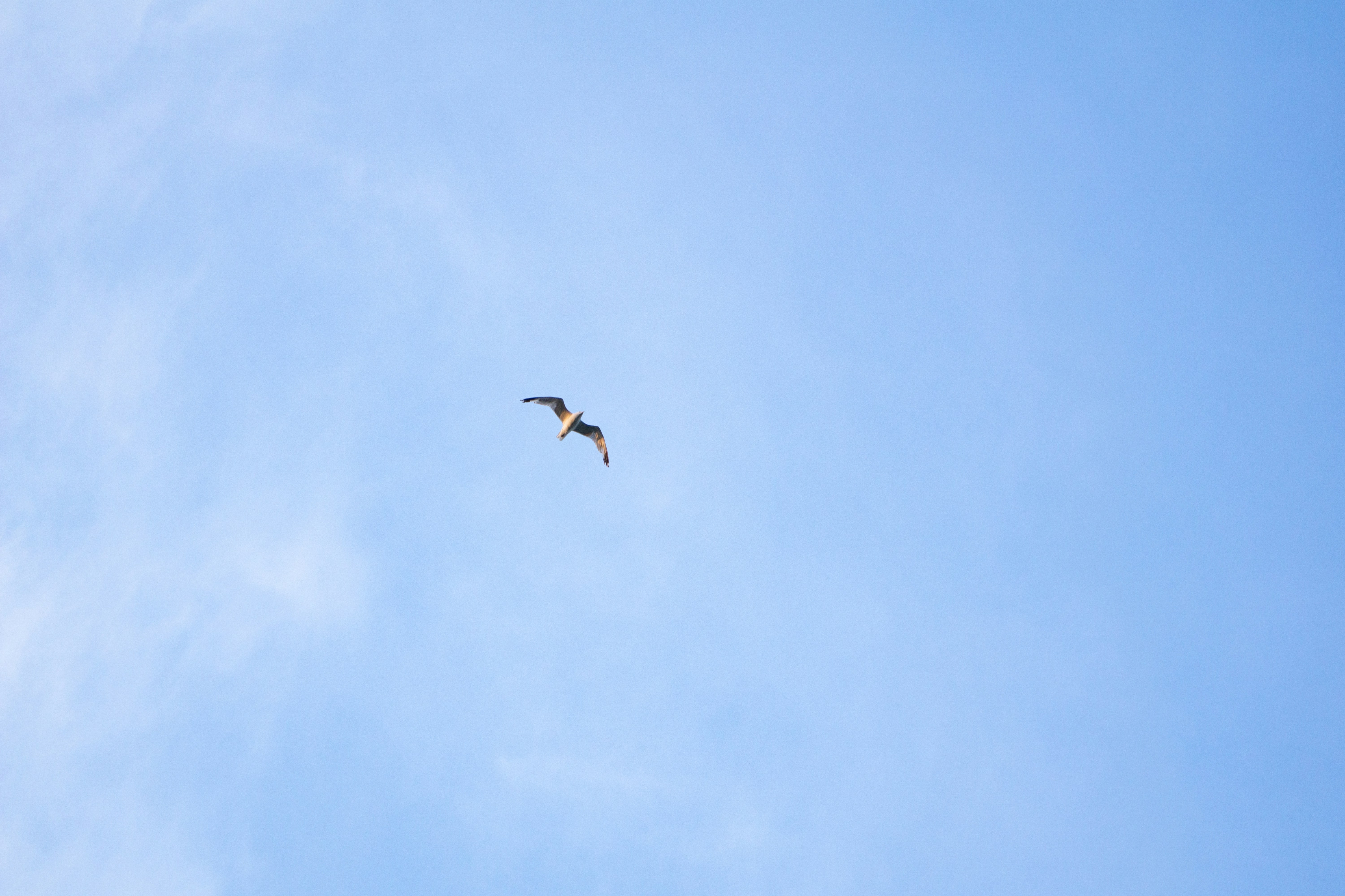 Photo by jeremy_vejgman