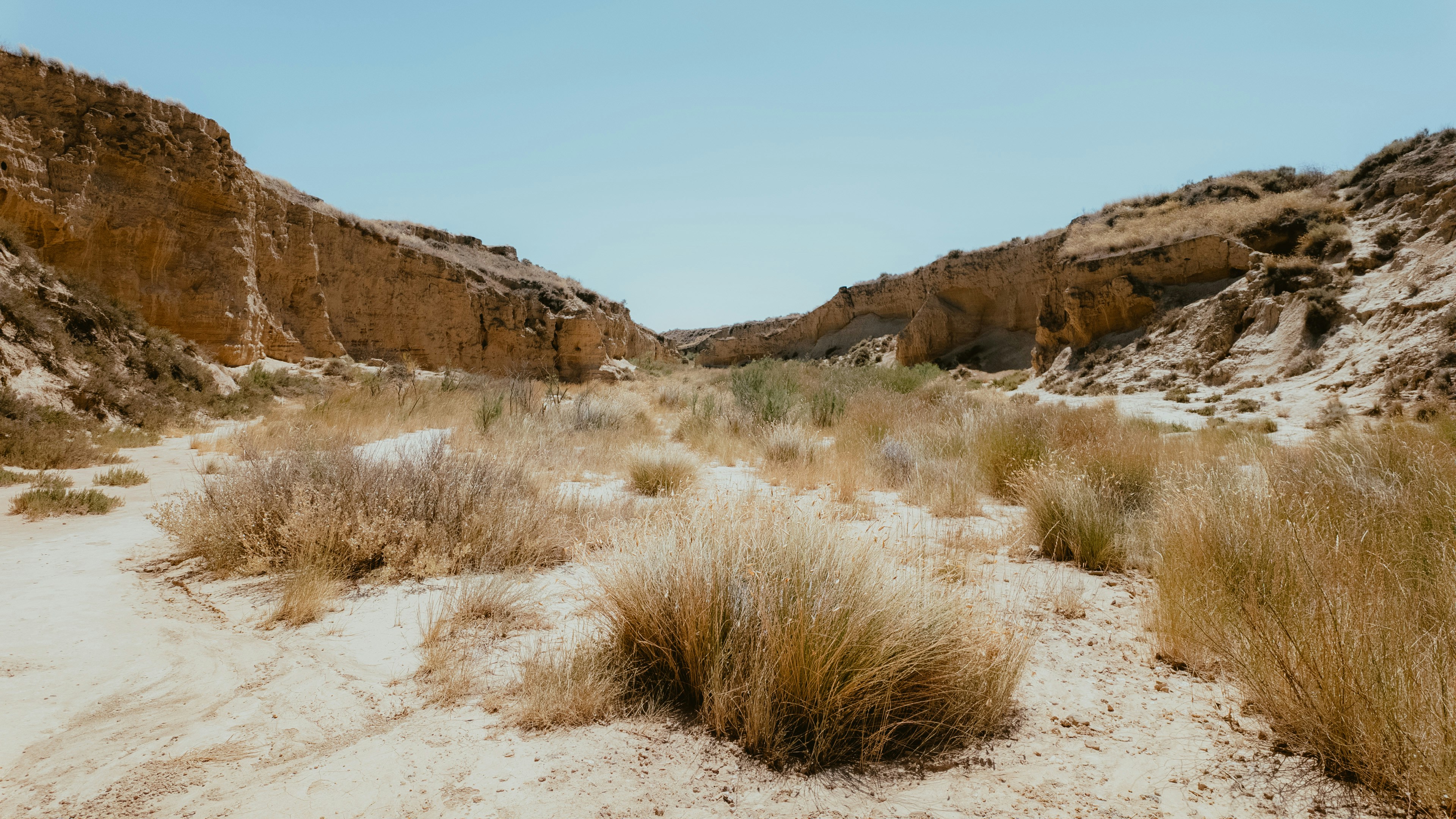 Photo by alingavriliuc