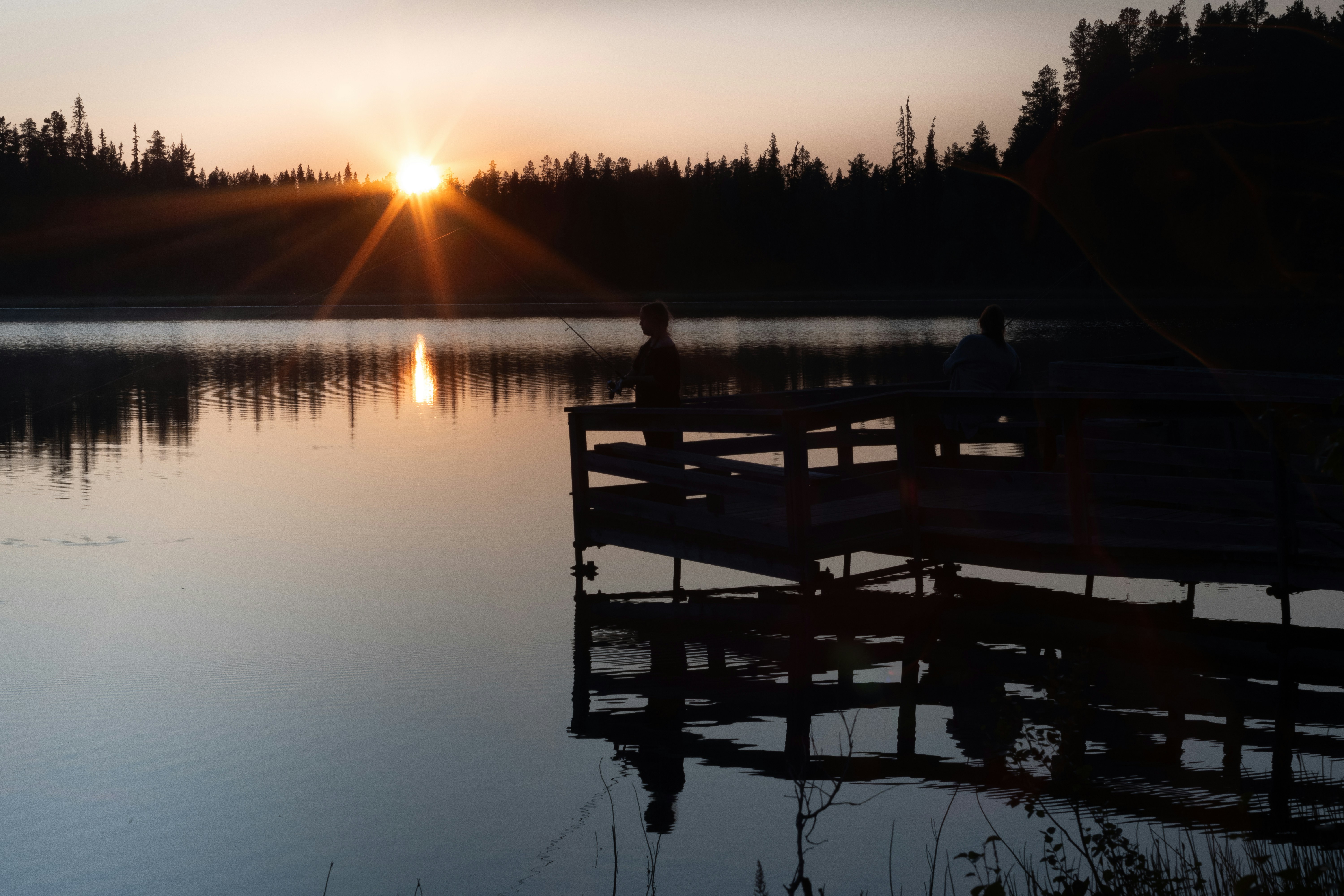 Photo by jirasek_photos