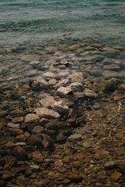 A man standing on a rock covered beach next to a body of water