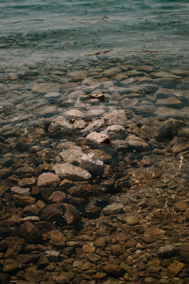 A man standing on a rock covered beach next to a body of water