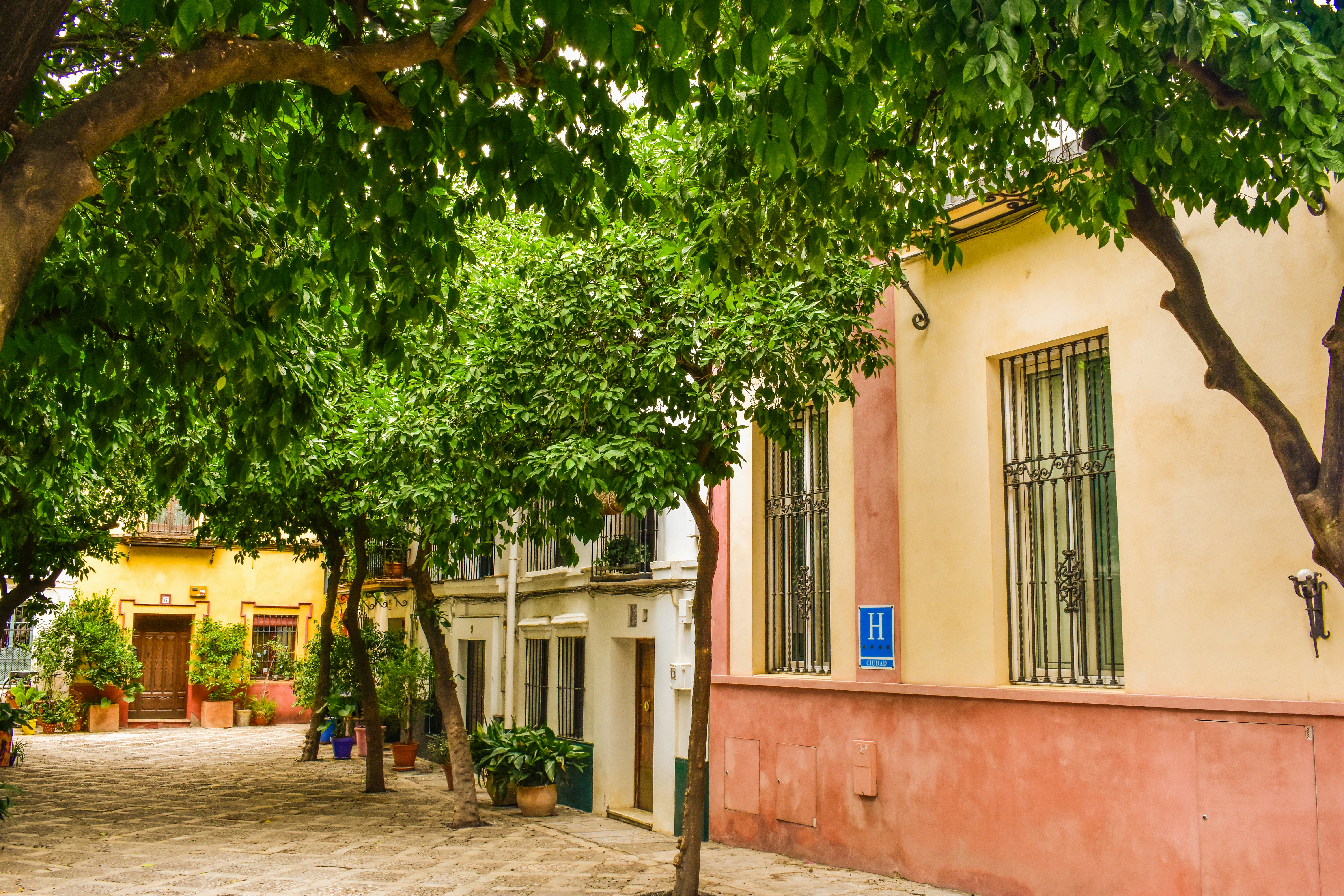 A tree lined street in front of a building, 