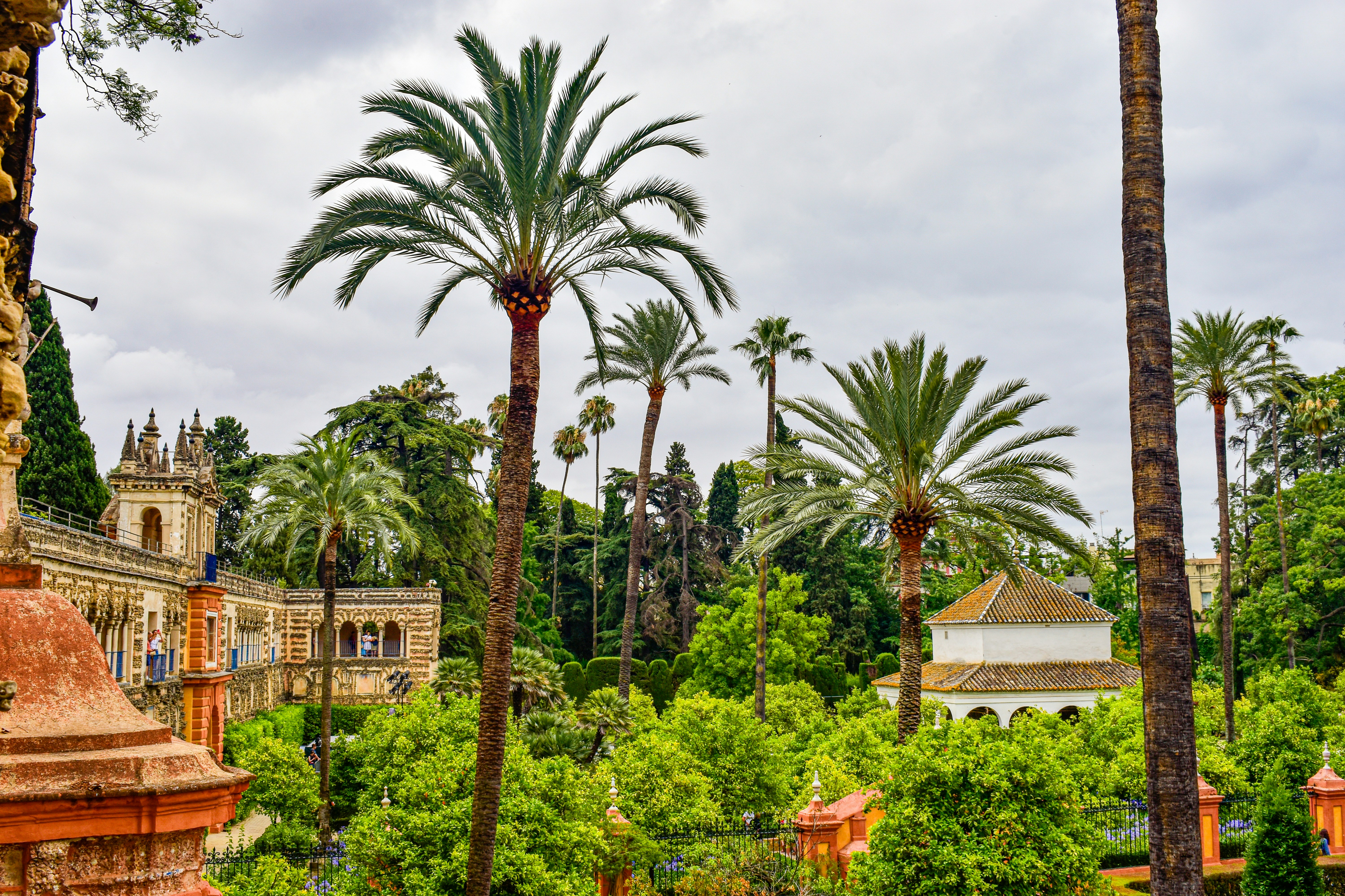 A park with palm trees and a building in the background - Sevilla