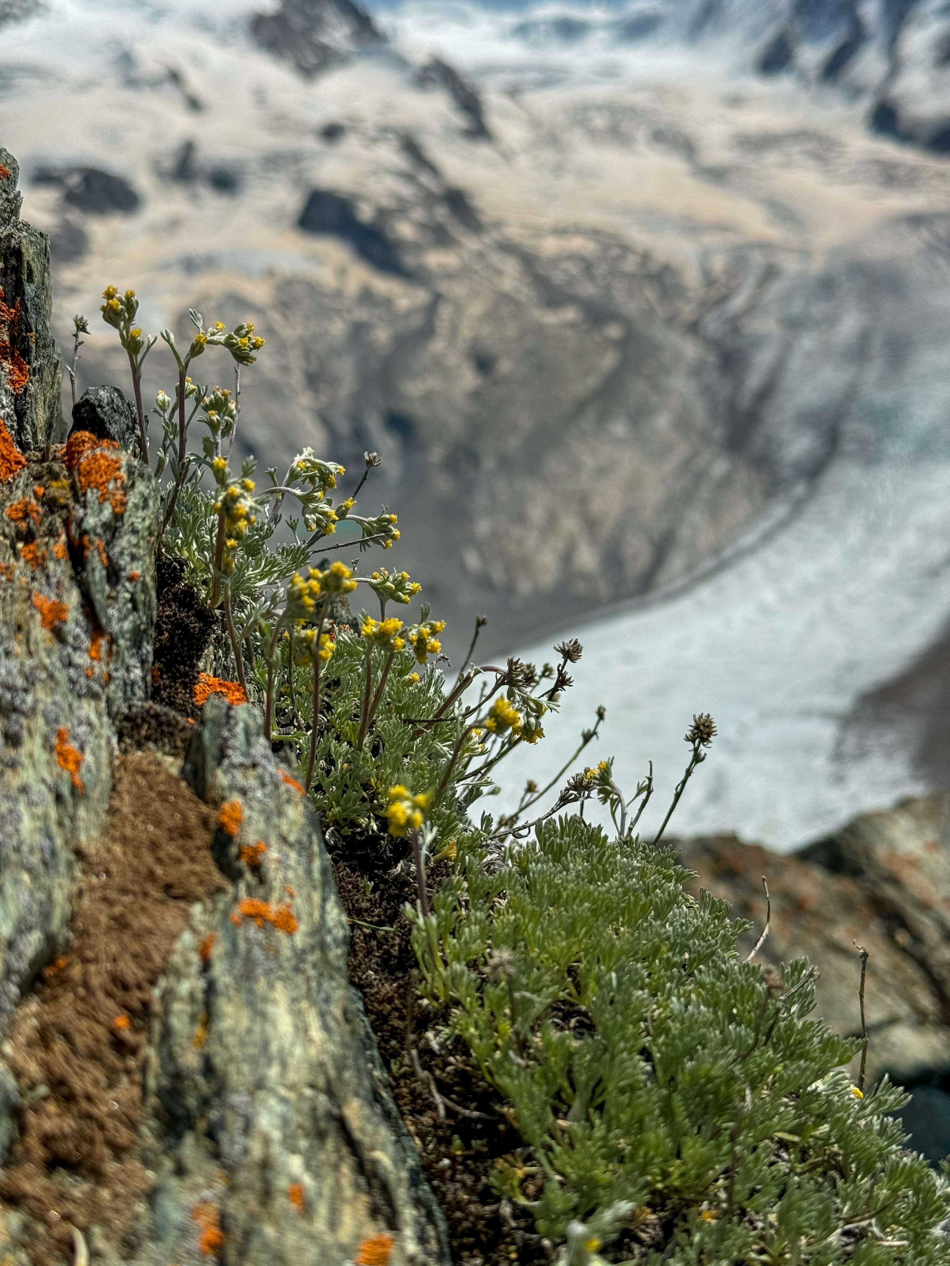 A view of a glacier from a rocky outcropping