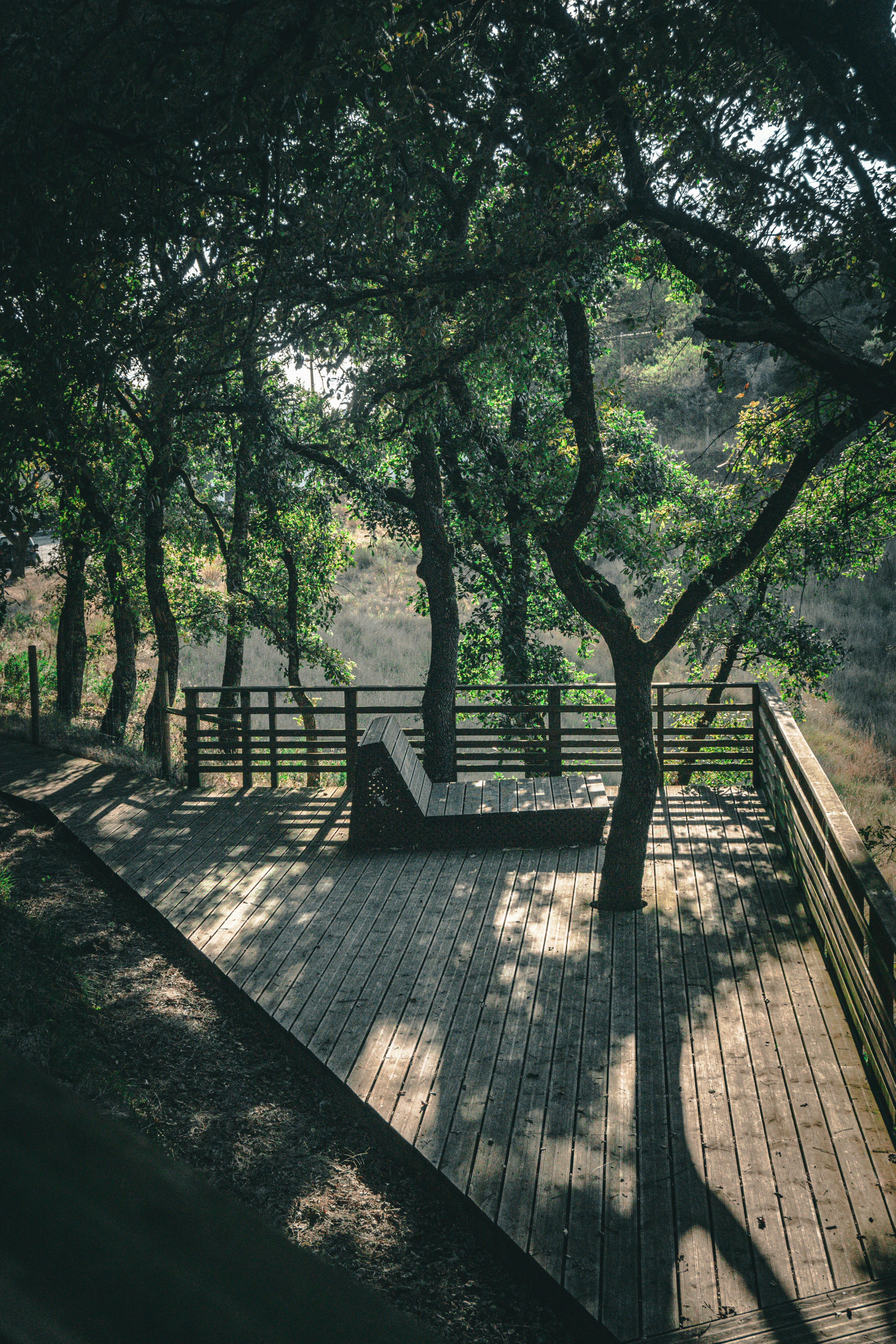 Beautiful wooden deck in bright sunlight, smooth planks, outdoor living space