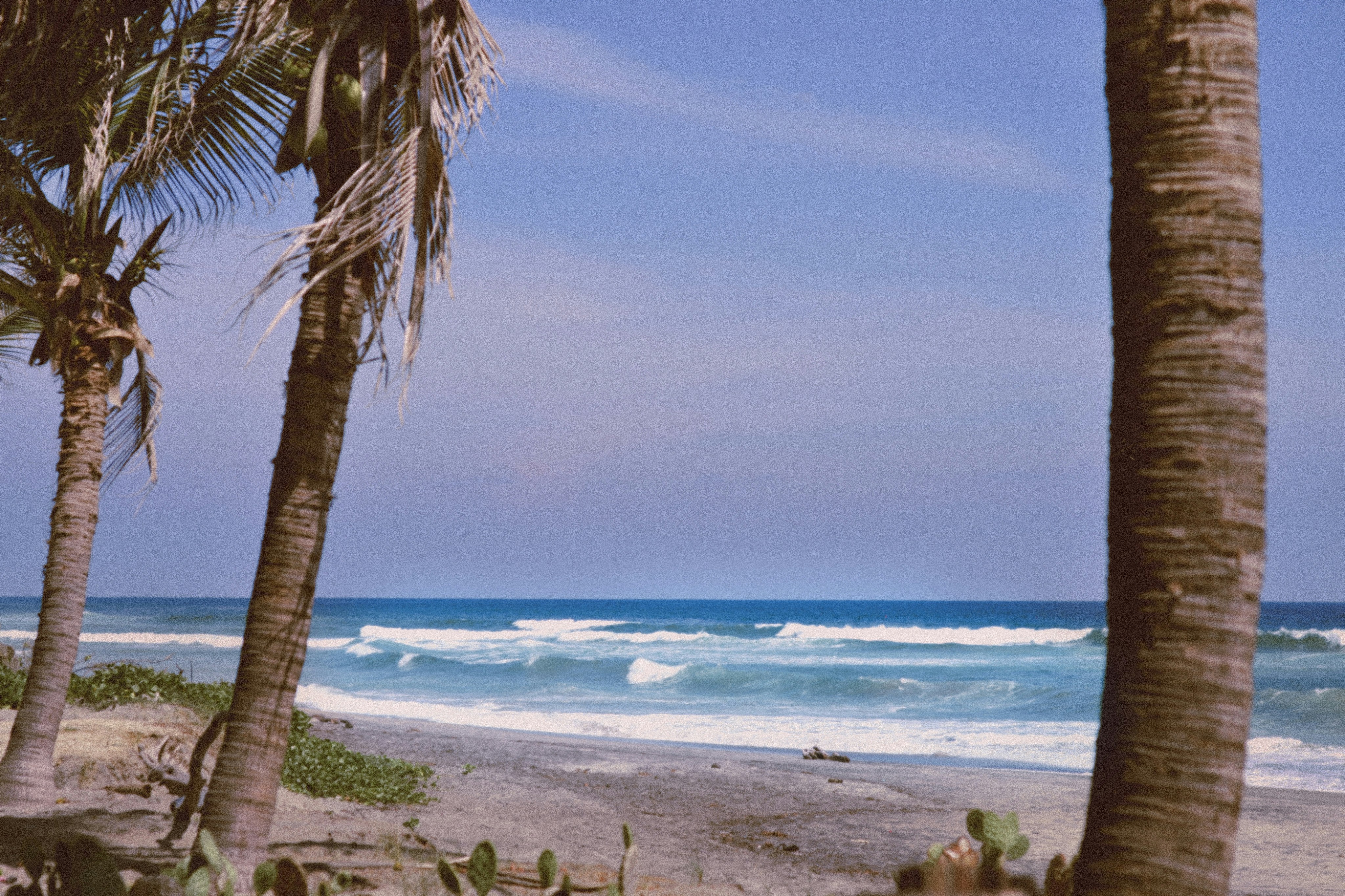 Photo by anivardiero