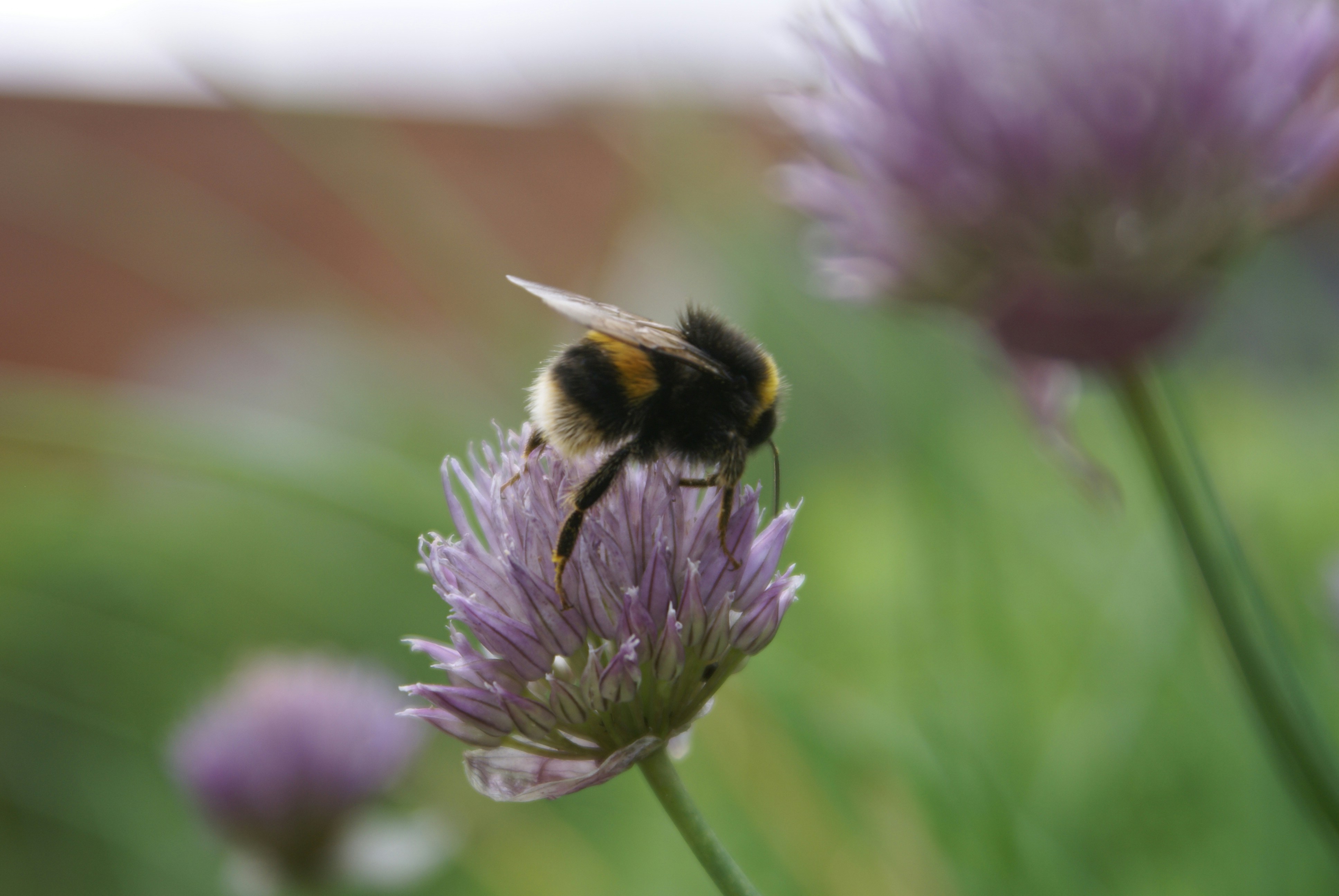 Photo by cehphotography64